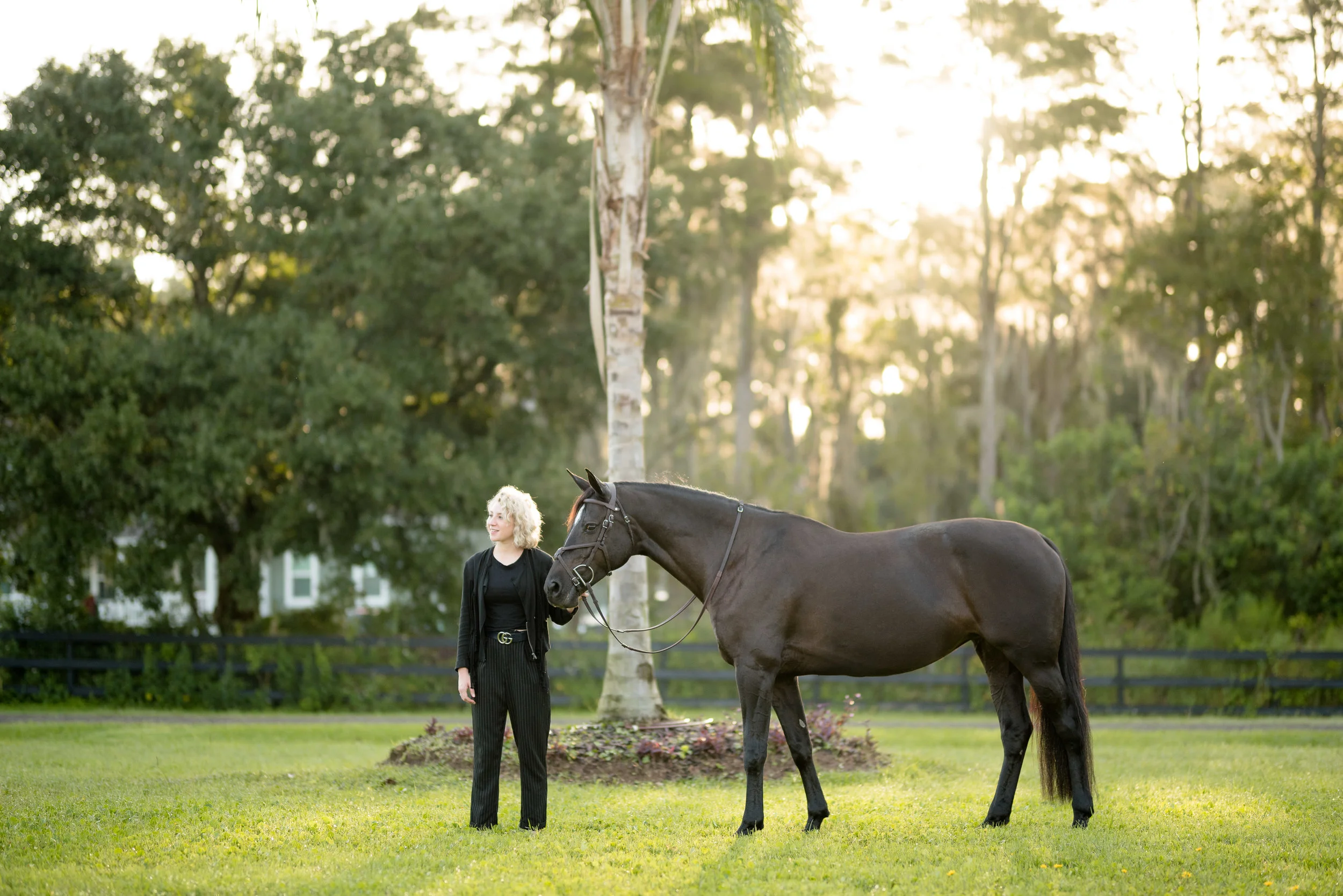 Sydney Grodotz | Tampa, Florida Horse &amp; Rider | Nicole Schultz Photography