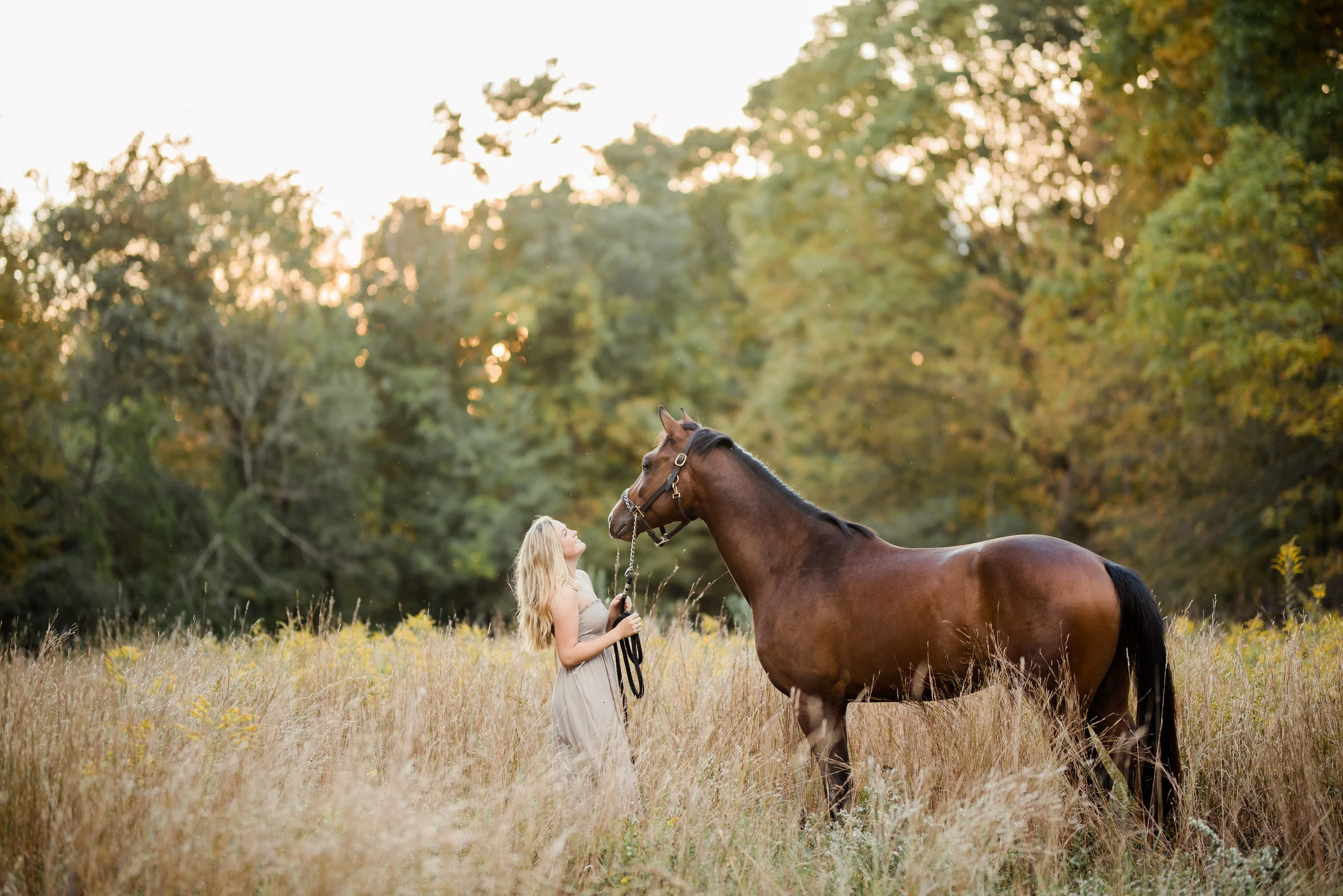 Taylor Pendleton | Newtown, Connecticut Horse &amp; Rider Session | Nicole Schultz Photography
