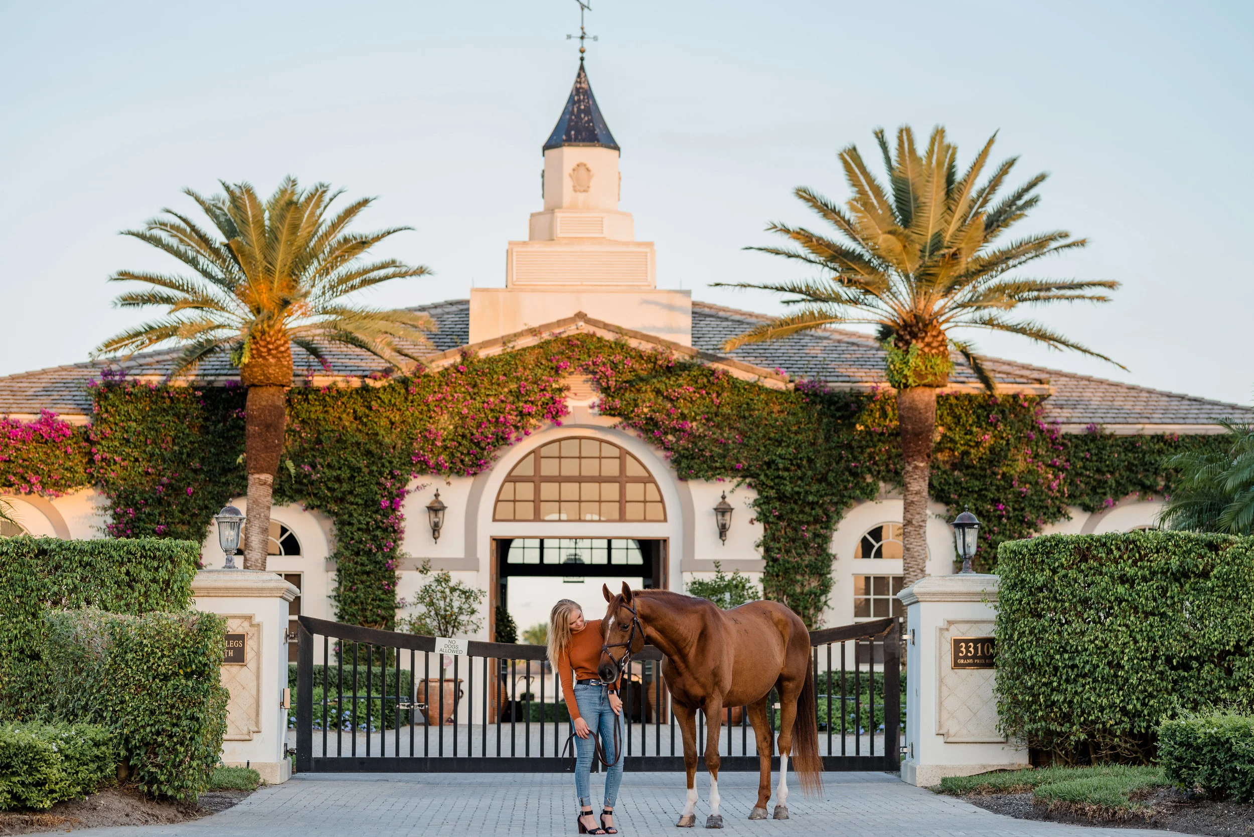 Sara Takacs | Wellington, Florida Horse &amp; Rider | Nicole Schultz Photography