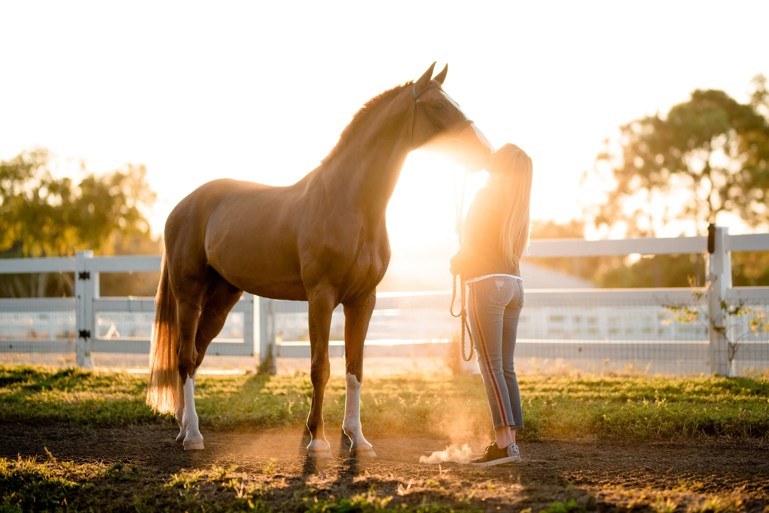 Sydney DeGrazia | Wellington, Florida Horse &amp; Rider | Nicole Schultz Photography