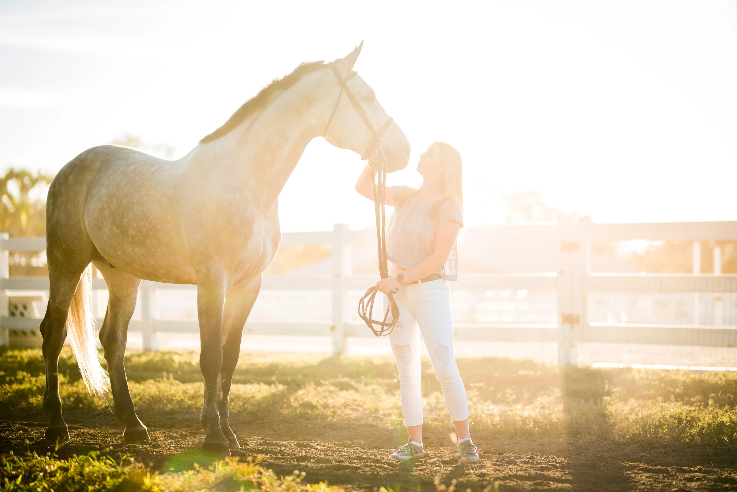 Olivia Reiskin | Wellington, Florida Horse &amp; Rider | Nicole Schultz Photography
