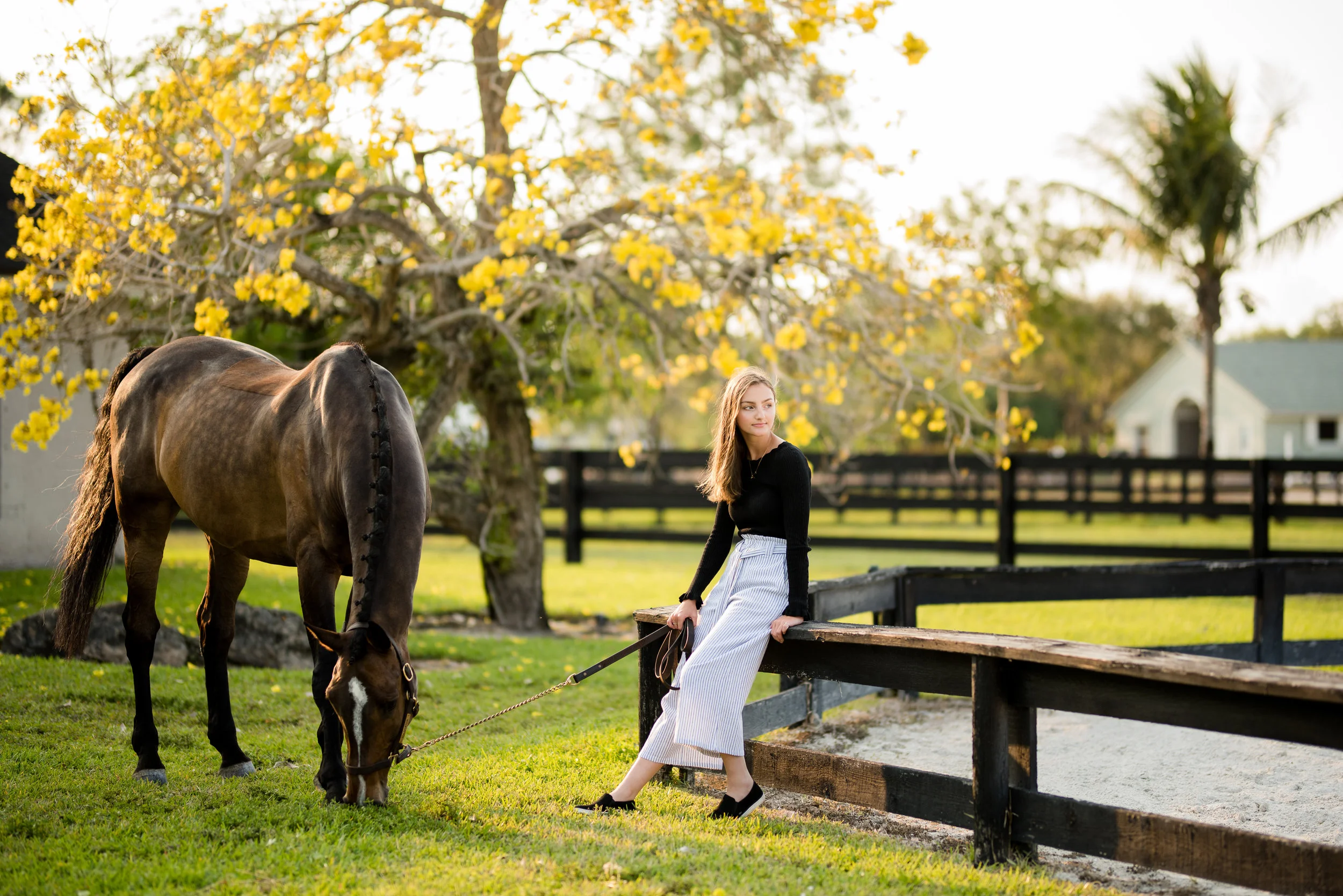 Lauren Miller | Wellington, Florida Horse &amp; Rider | Nicole Schultz Photography