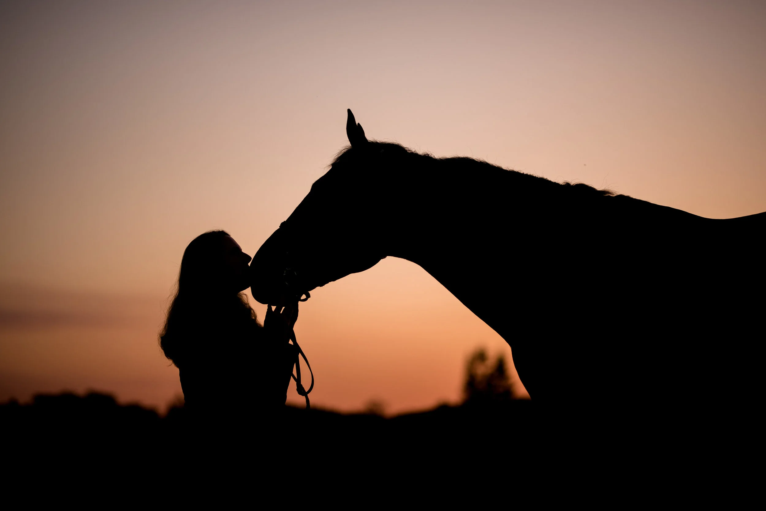 Eleanor Cox | Wellington, Florida Horse &amp; Rider | Nicole Schultz Photography