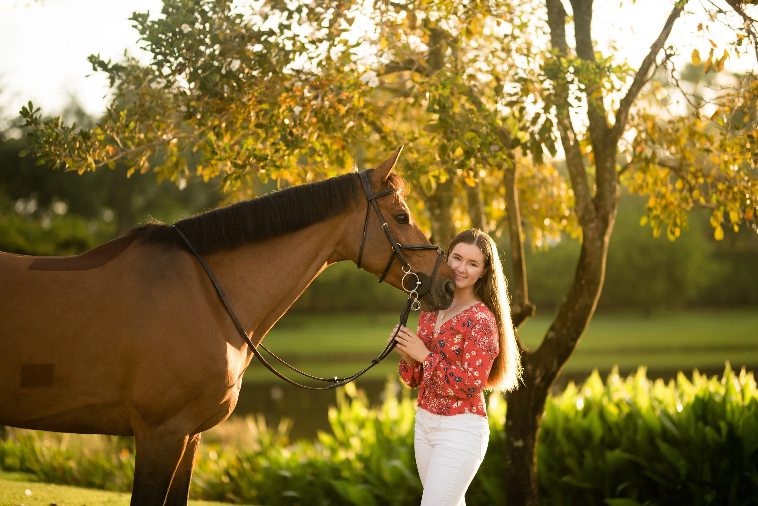 Lauren McCaulley | Florida Horse And Rider Portrait Photographer | Nicole Schultz Photography