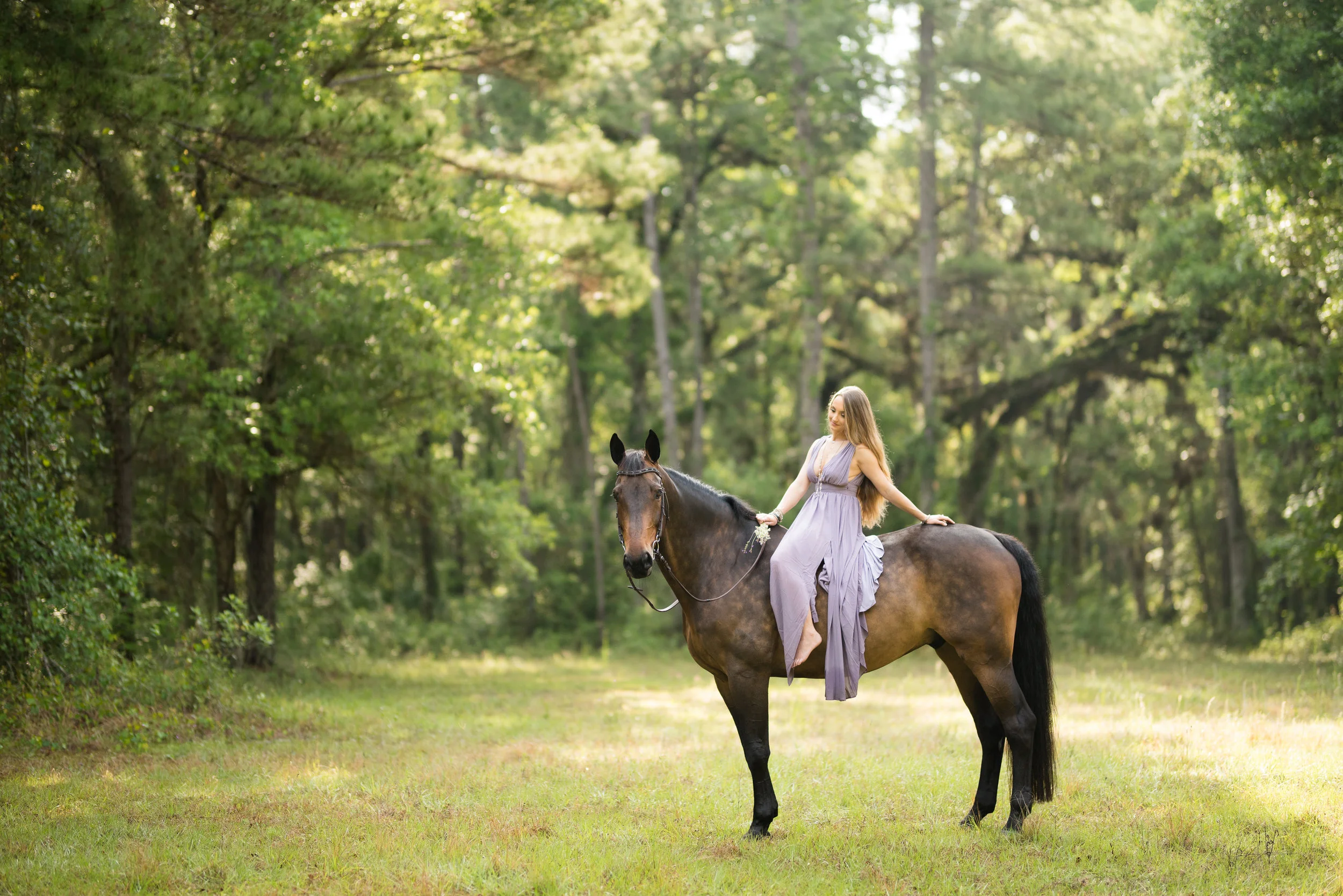 Melina Poole | Florida Horse And Rider Portrait Photographer | Nicole Schultz Photography