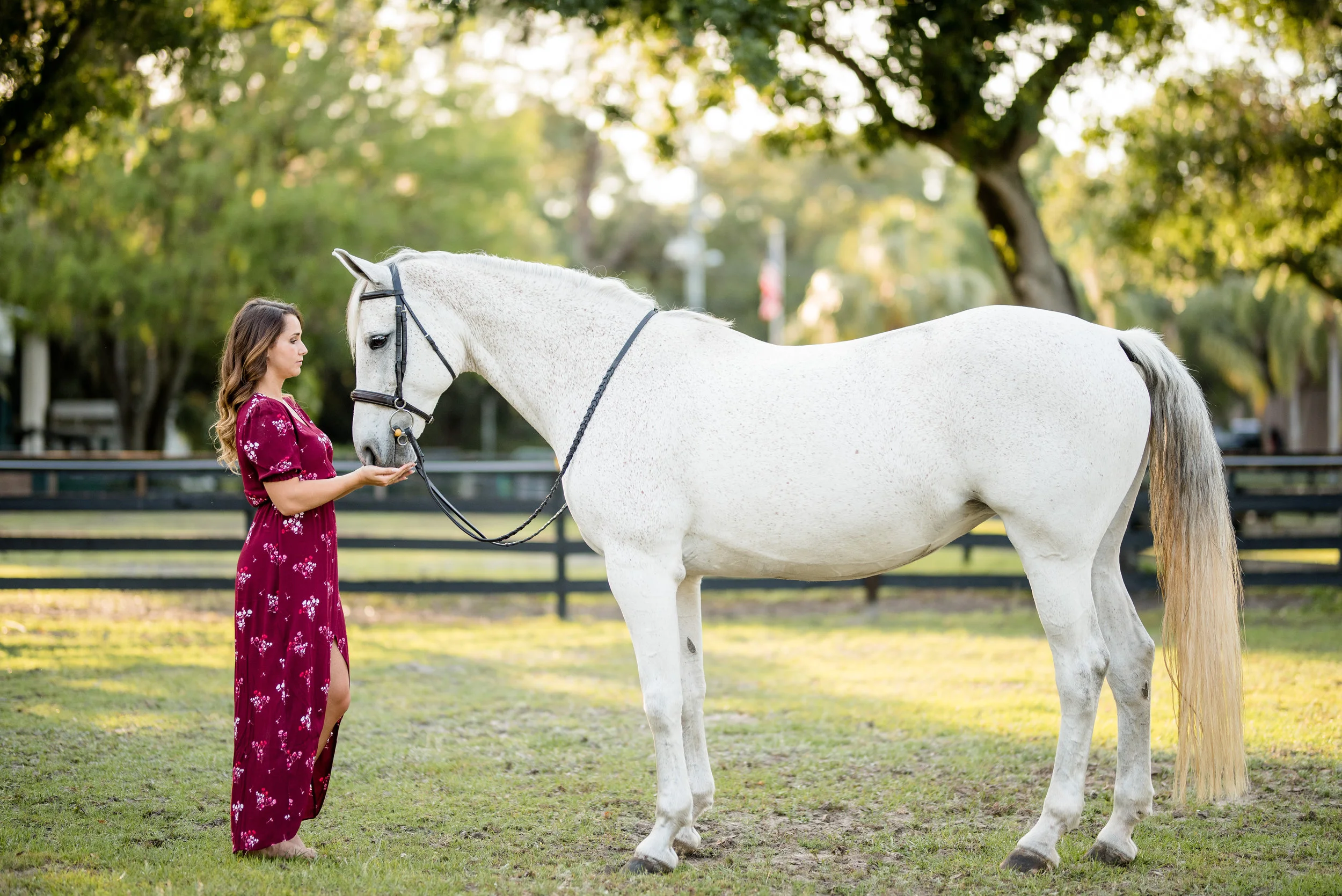 Gianna Gallina | Florida Horse And Rider Portrait Photographer | Nicole Schultz Photography