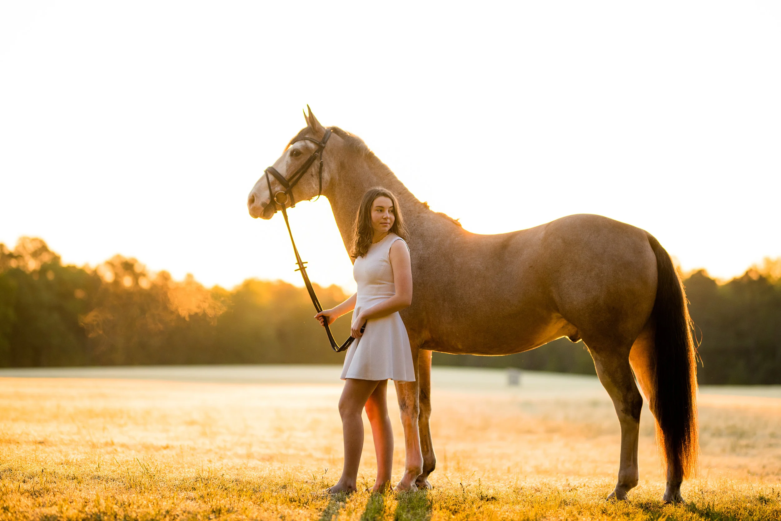 Madeline Cerello | South Carolina Horse And Rider Portrait Photographer | Nicole Schultz Photography