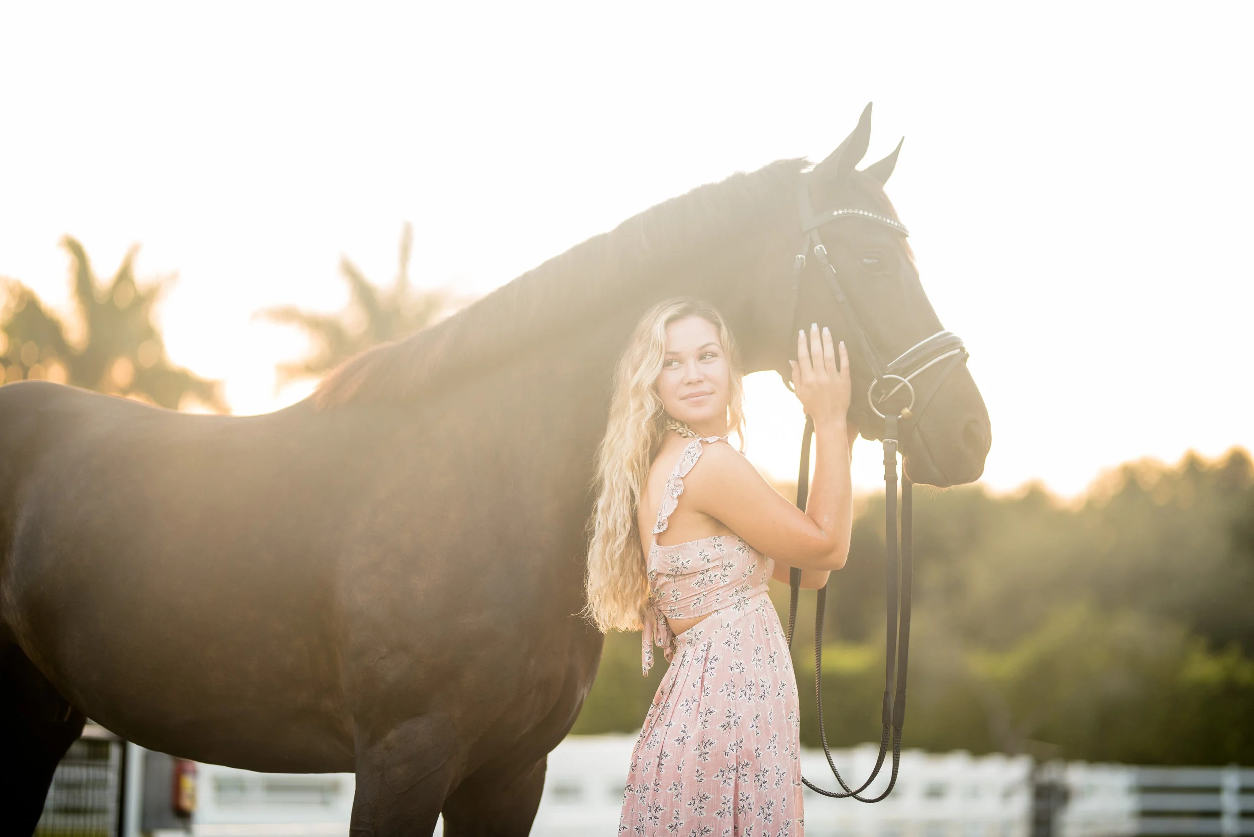 Avery Hogan | Florida Horse And Rider Portrait Photographer | Nicole Schultz Photography