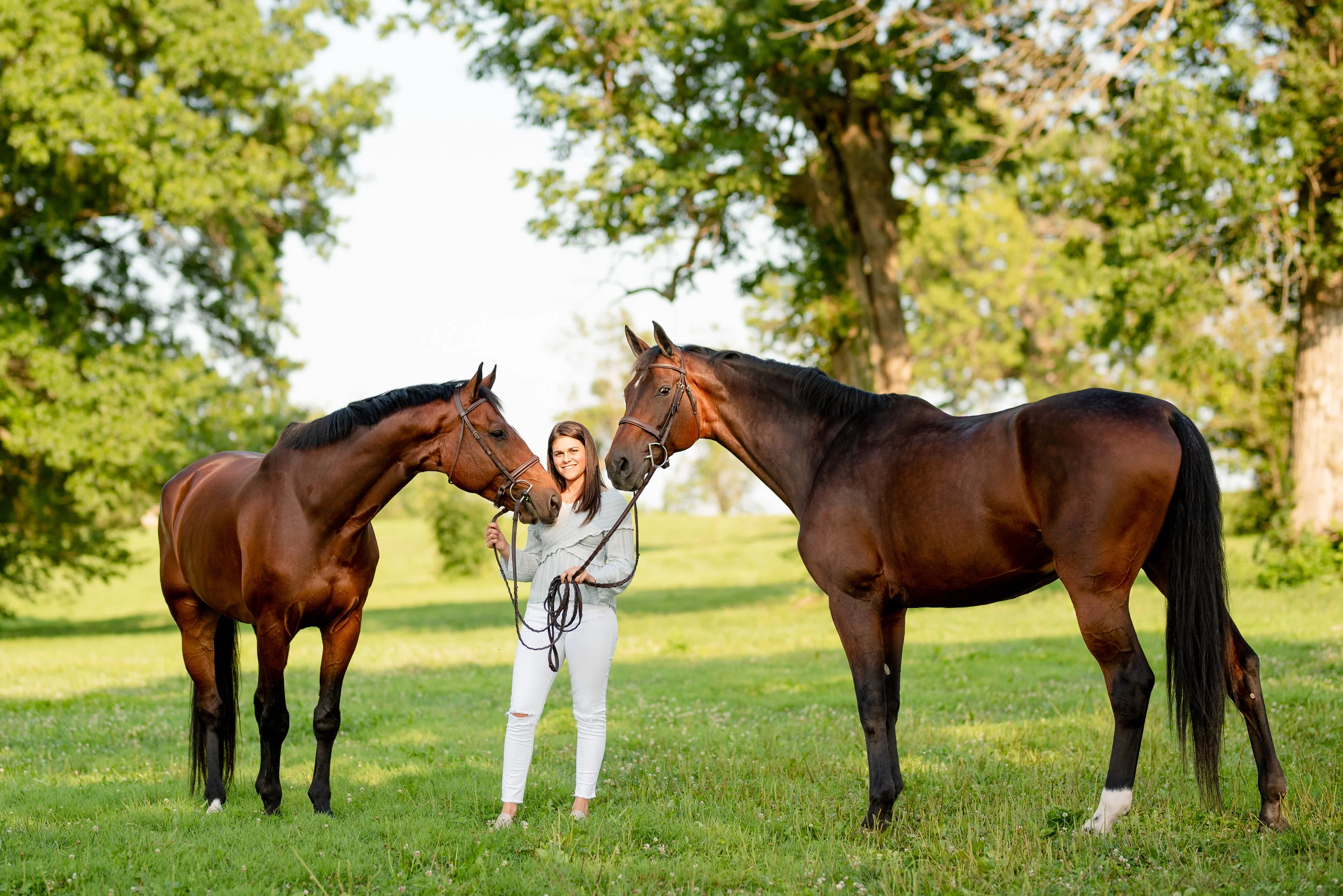 Aly Muir | Kentucky Horse And Rider Portrait Photographer | Nicole Schultz Photography