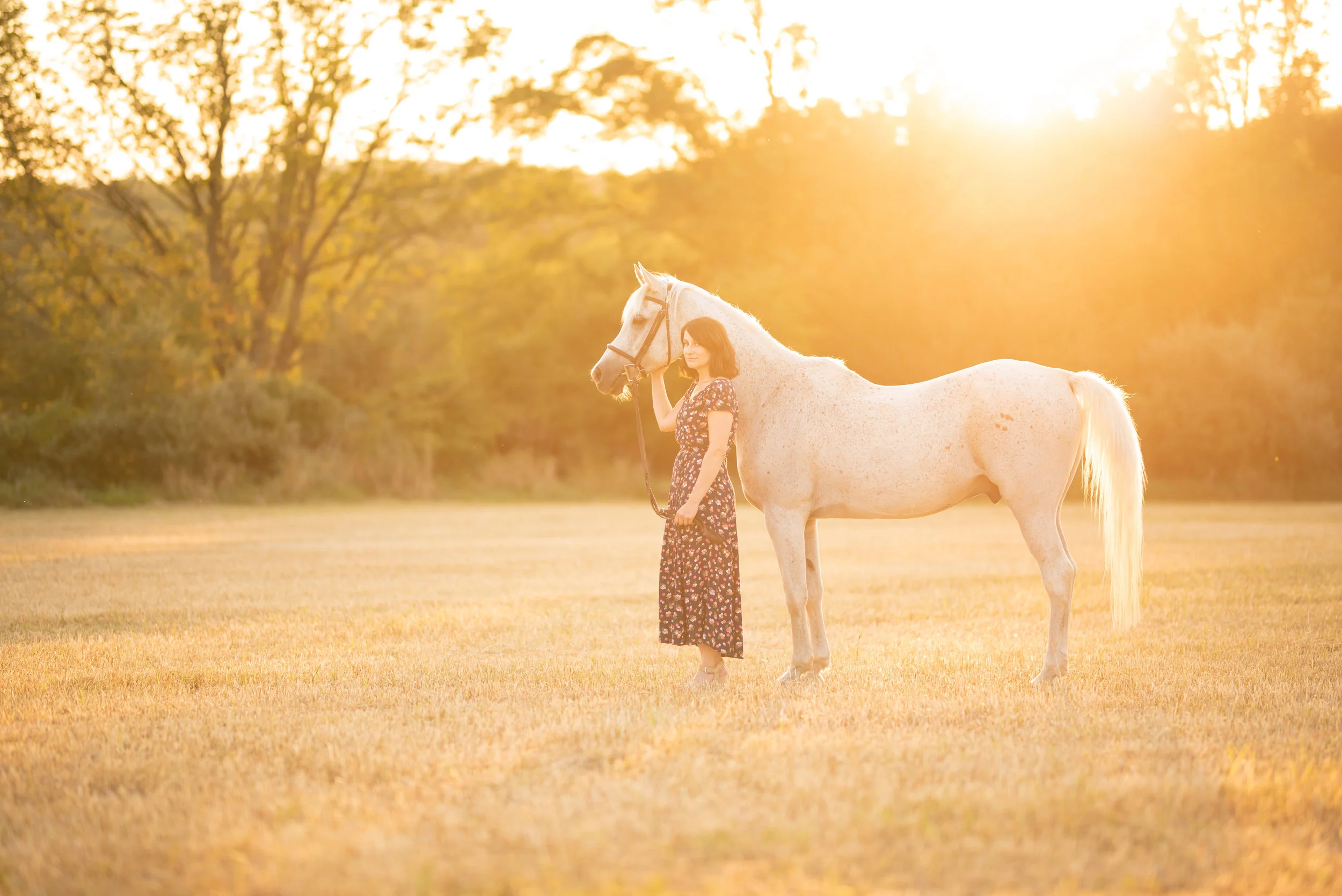 Jessica Sanders | Lambertville, New Jersey Horse &amp; Rider Portrait Session | Nicole Schultz Photography