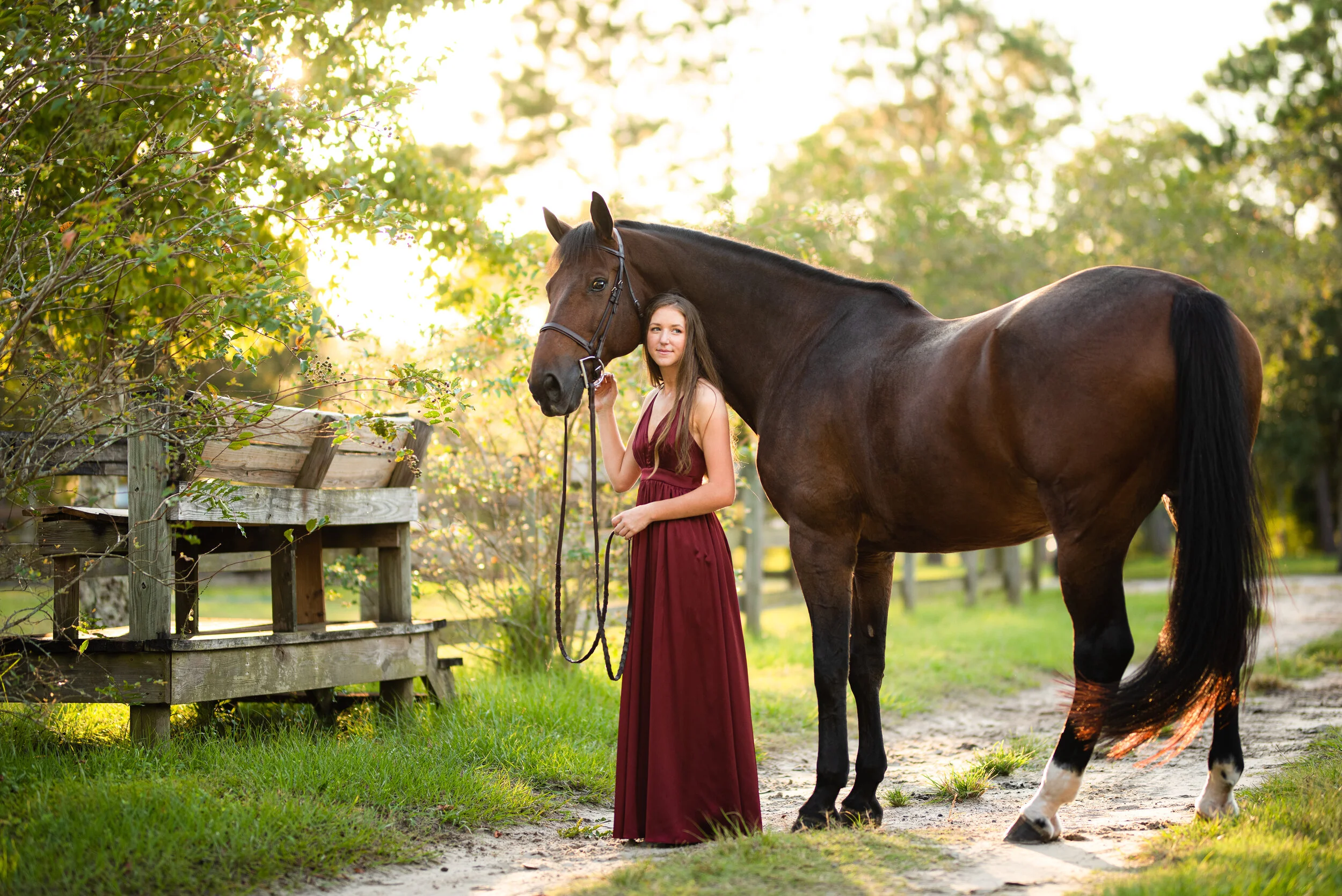 Sarah Alderman | Florida Horse And Rider Portrait Photographer | Nicole Schultz Photography