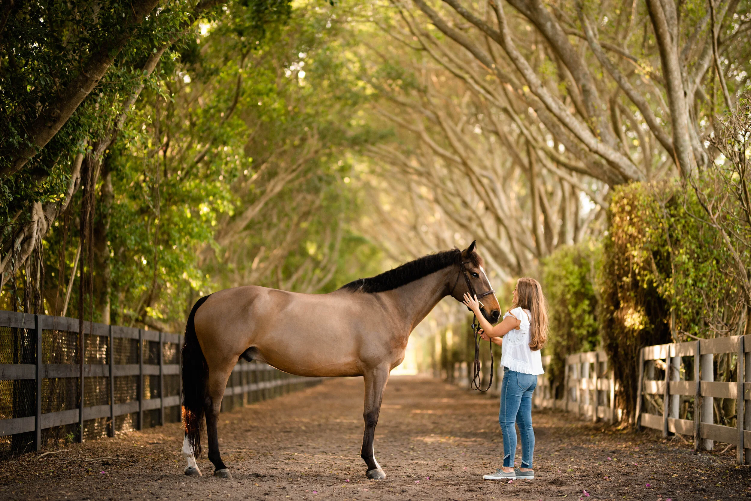 Anna Lerch | Florida Horse And Rider Portrait Photographer | Nicole Schultz Photography