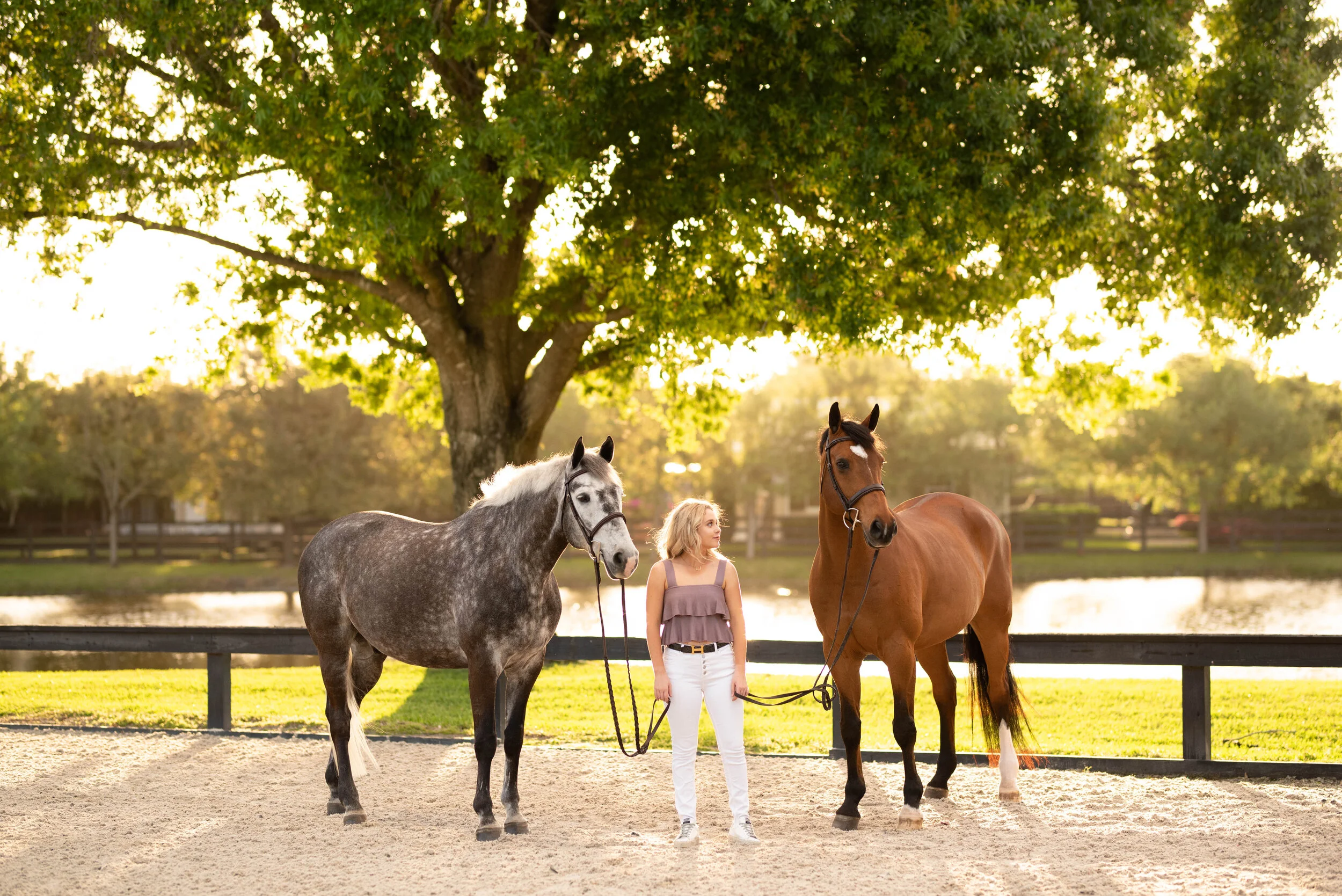 Eve Meyer | Florida Horse And Rider Portrait Photographer | Nicole Schultz Photography