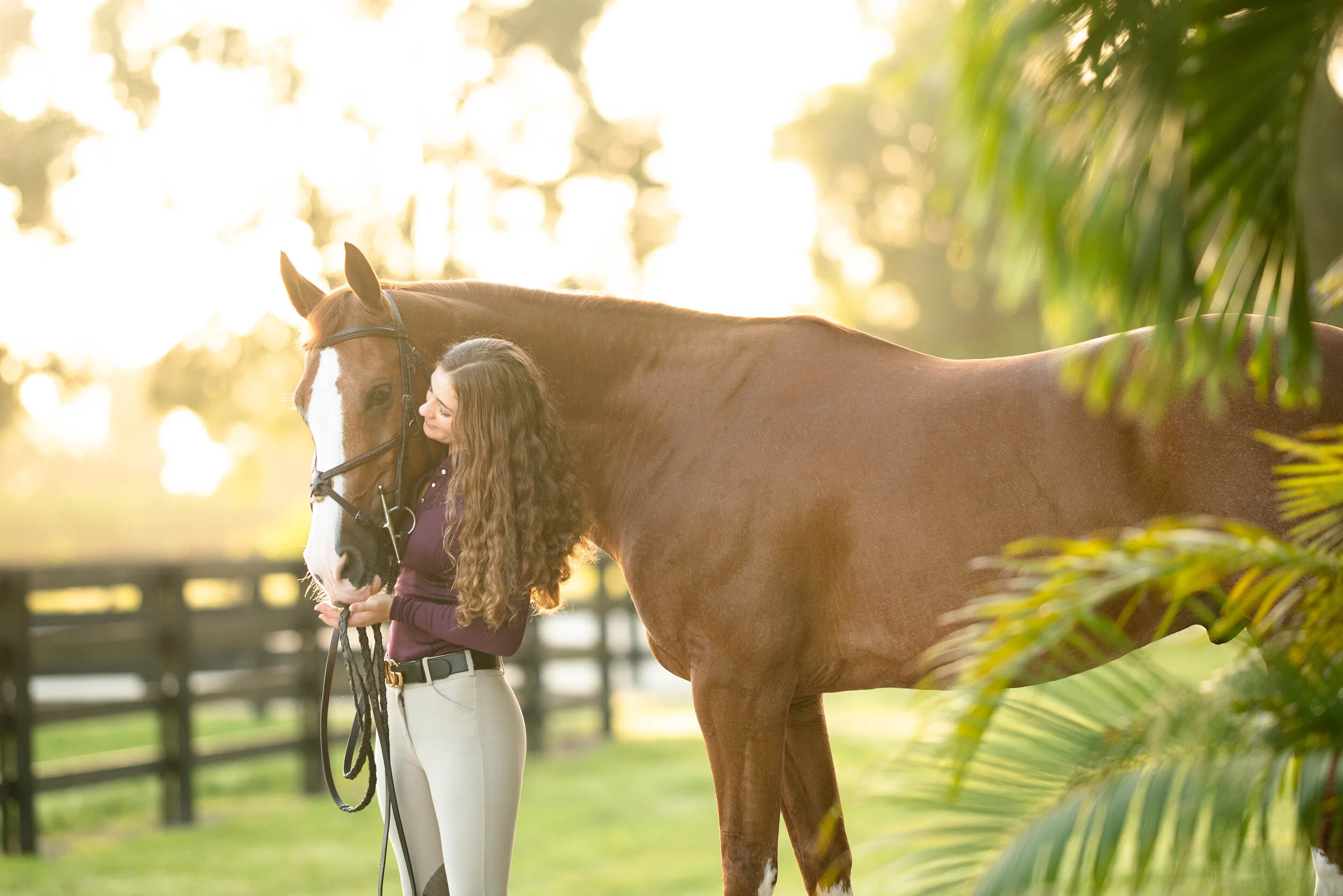 Hailey Royce | Florida Horse And Rider Portrait Photographer | Nicole Schultz Photography
