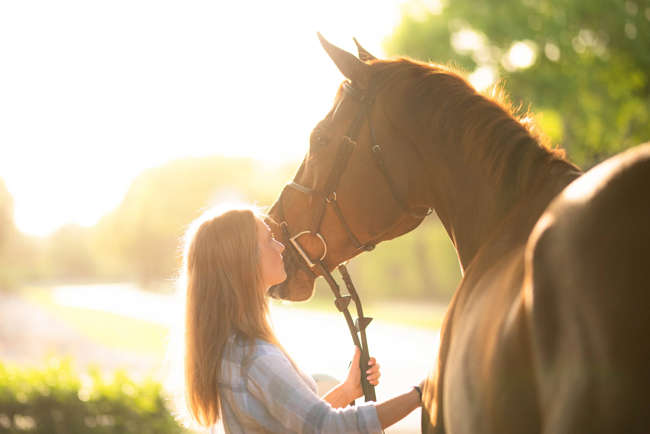 Elizabeth Toomey | Florida Horse And Rider Portrait Photographer | Nicole Schultz Photography