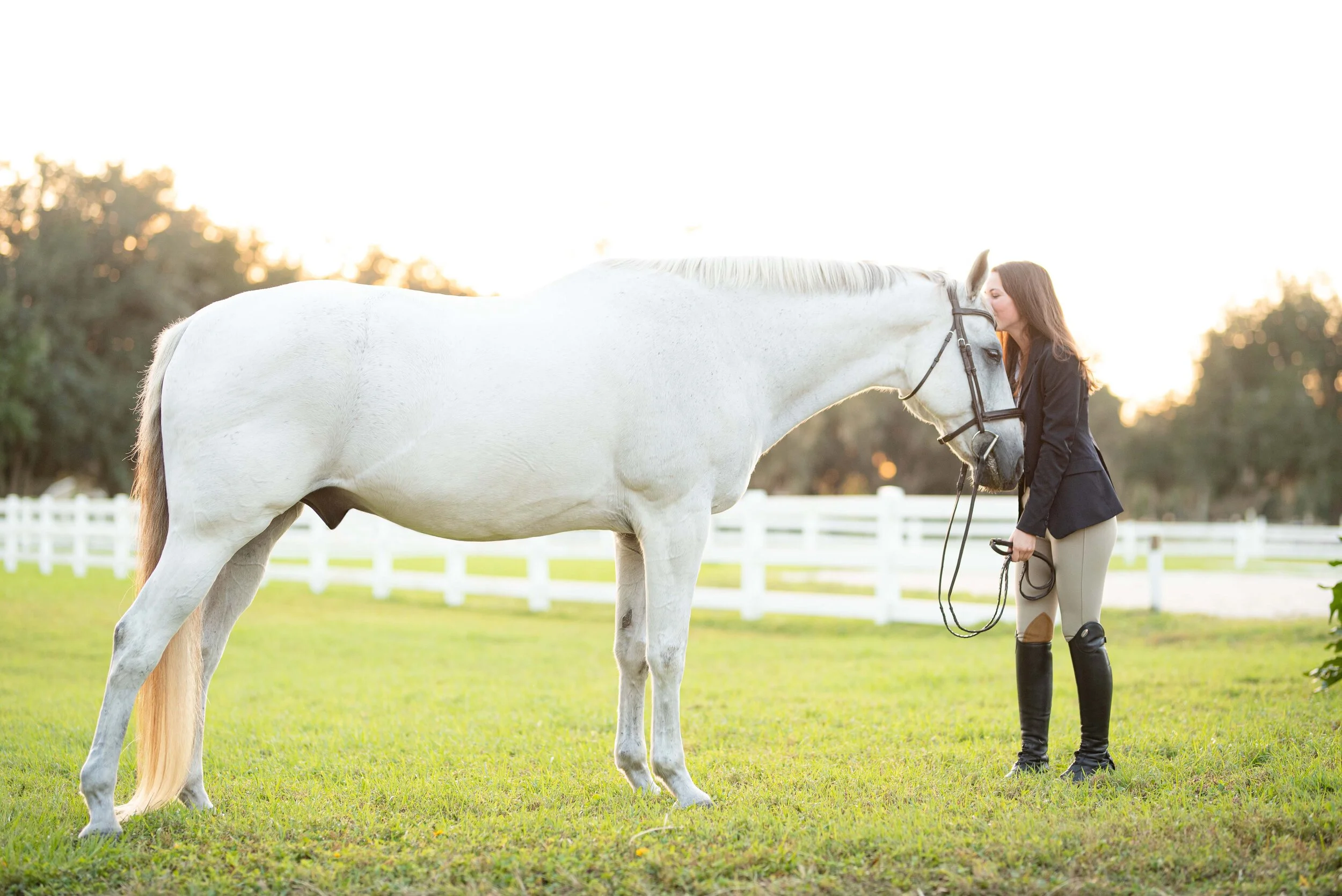 Delaney Read | Florida Horse And Rider Portrait Photographer | Nicole Schultz Photography