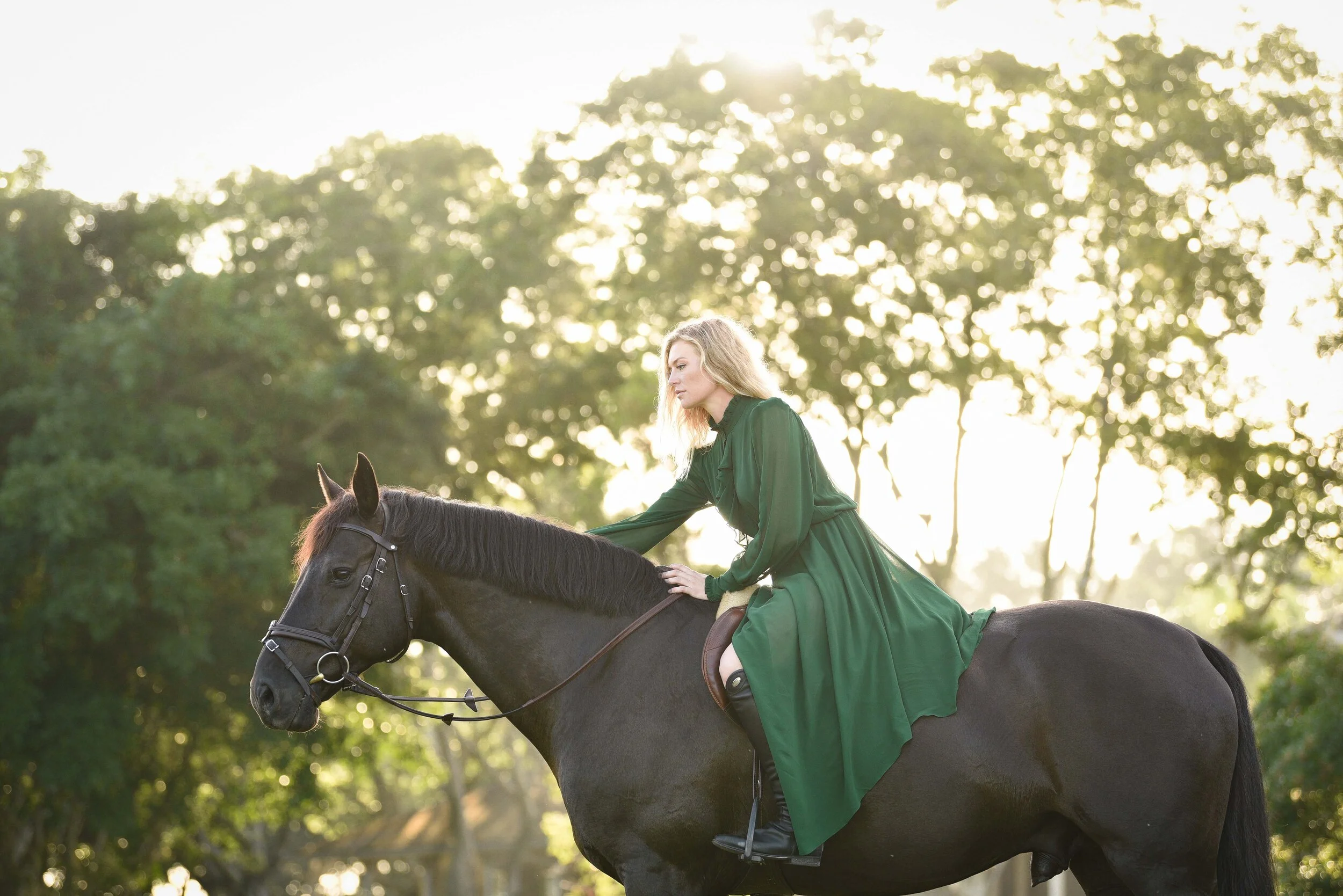 Amalie Hørdum | Wellington, Florida Horse And Rider Portrait Session