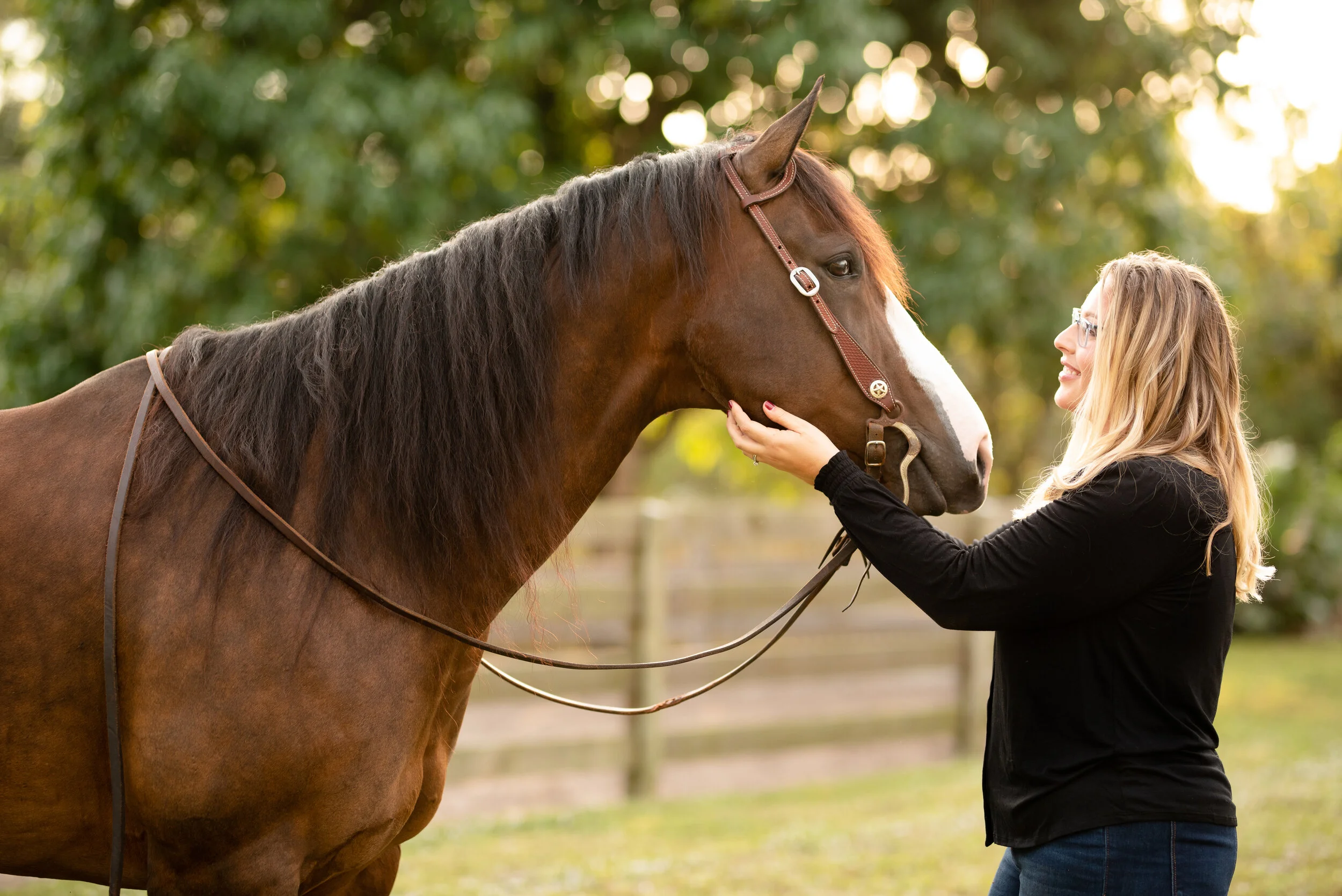 Sara Malanaphy | Loxahatchee, Florida Horse And Rider Portrait Session