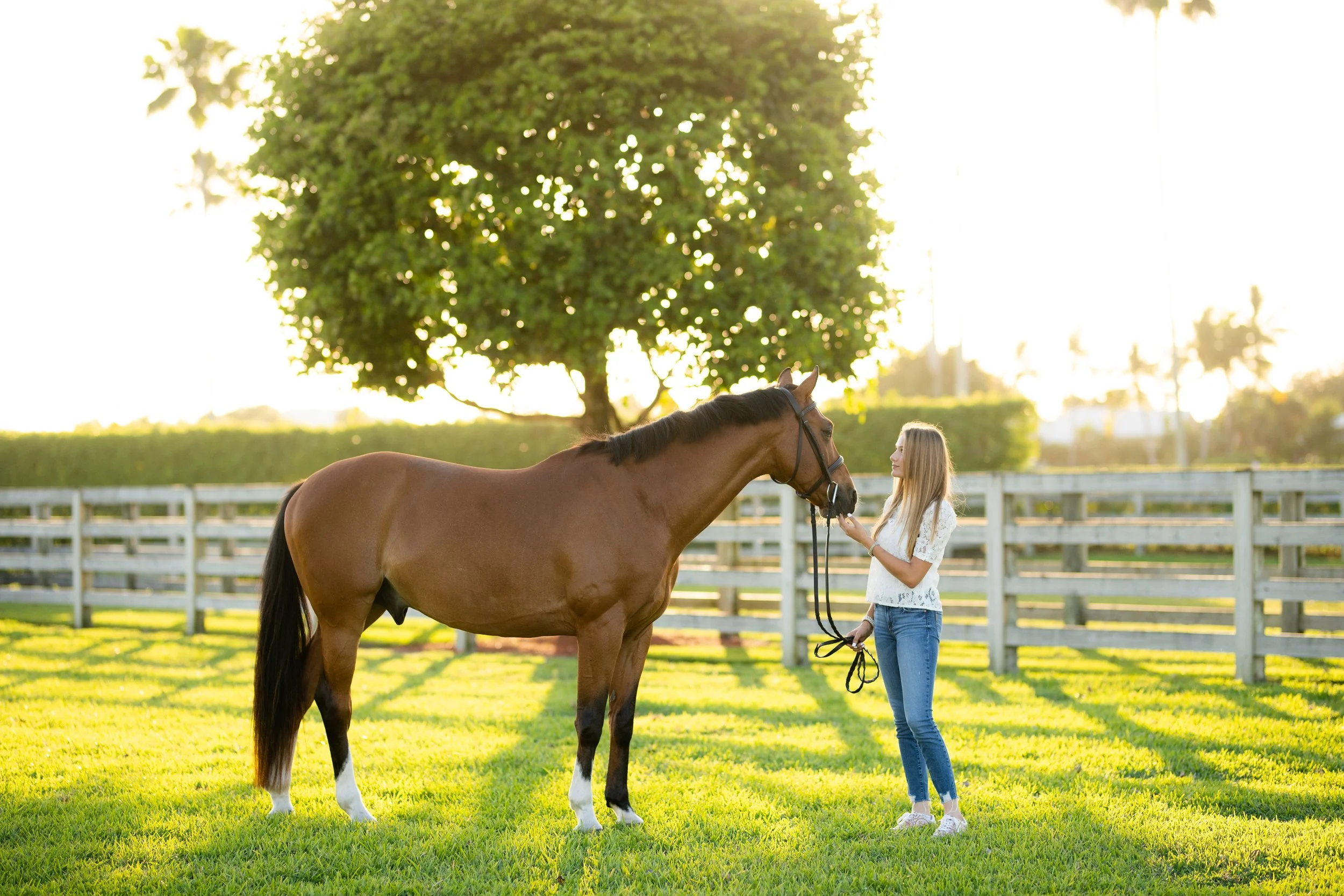 Mia Mannis | Wellington, Florida Horse And Rider Session