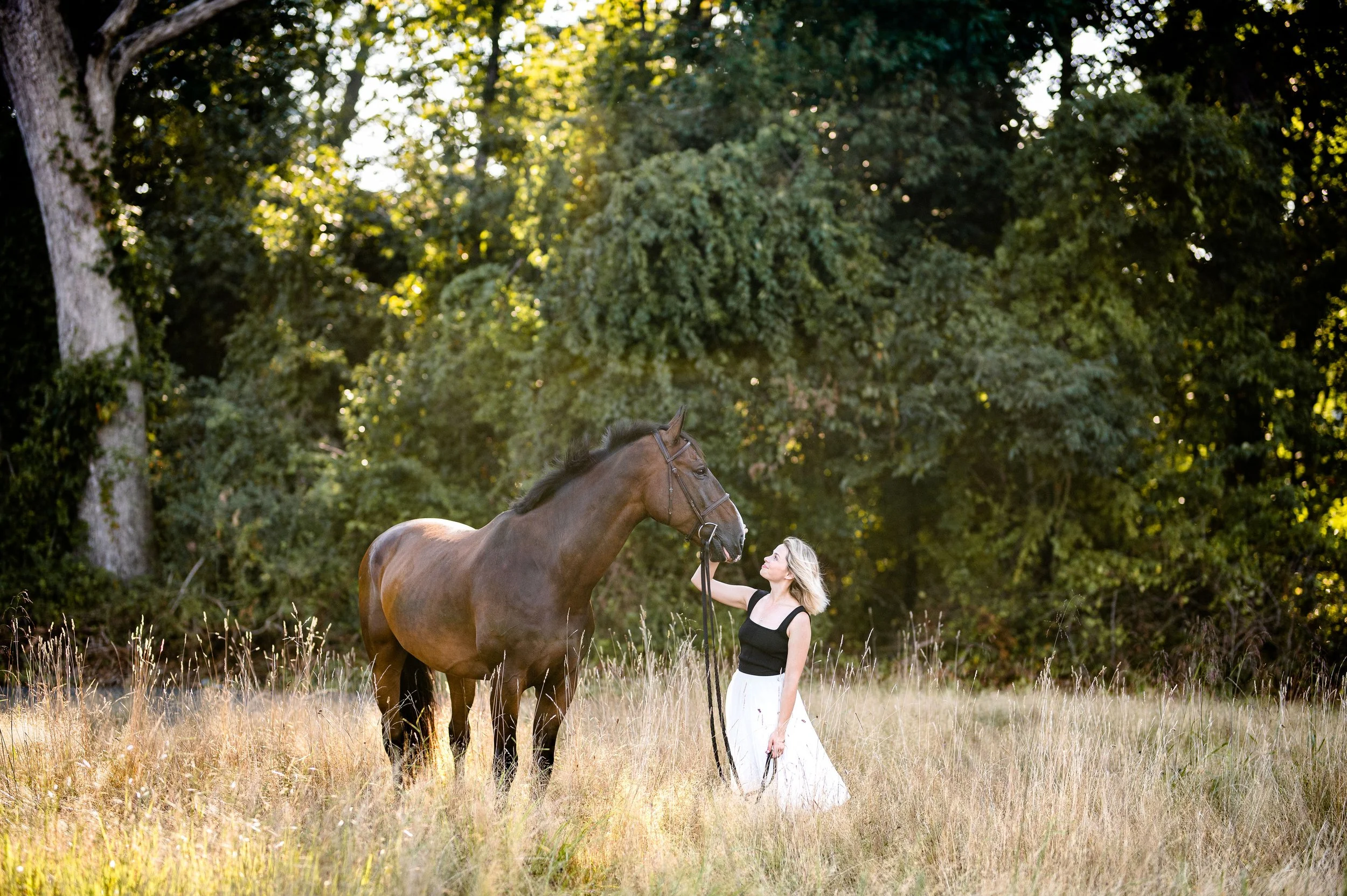 Shelby Phillips | Lloyd Harbor, New York Horse &amp; Rider Portrait Session