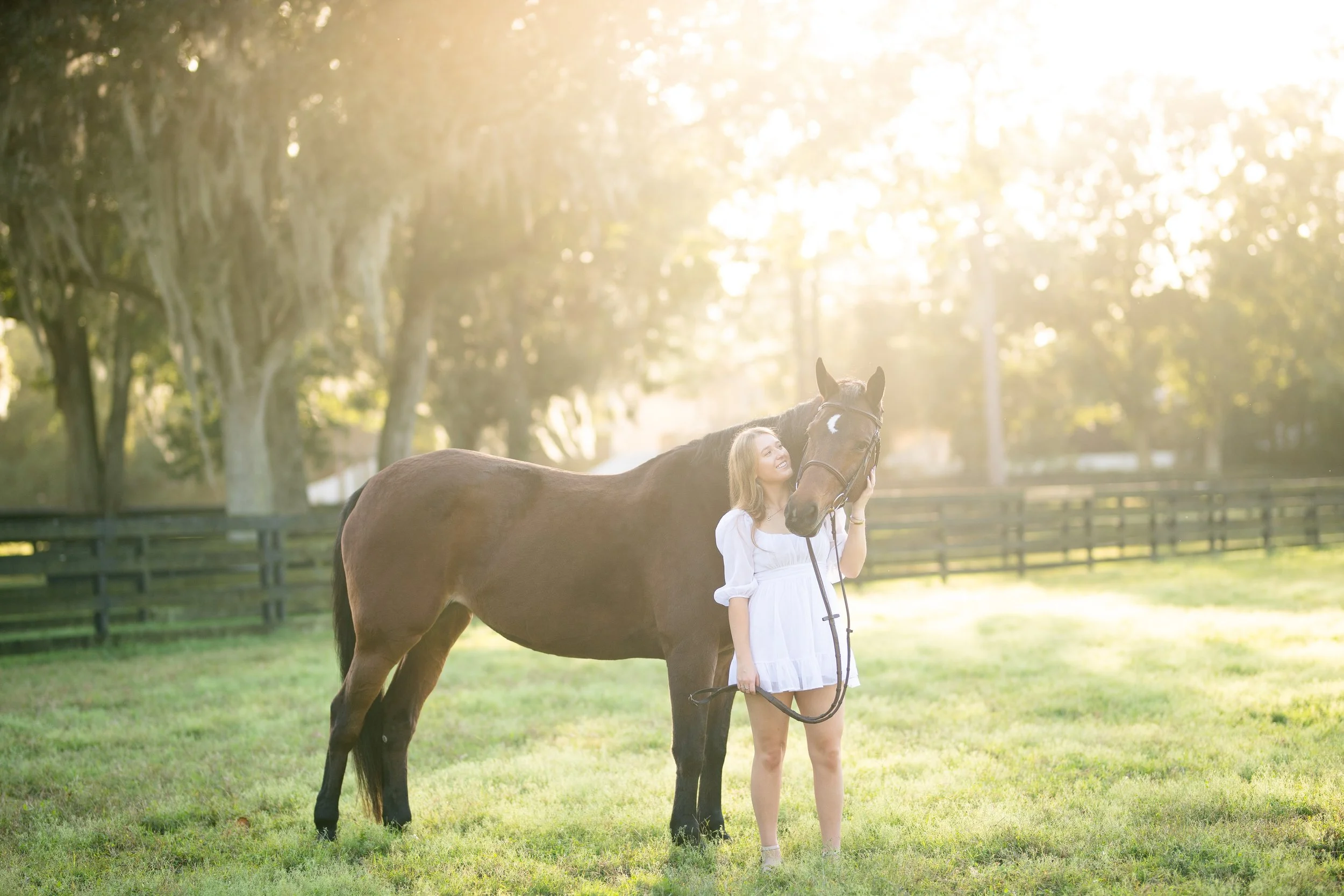 Elise Letson | Jacksonville, Florida Horse And Rider Portrait Session