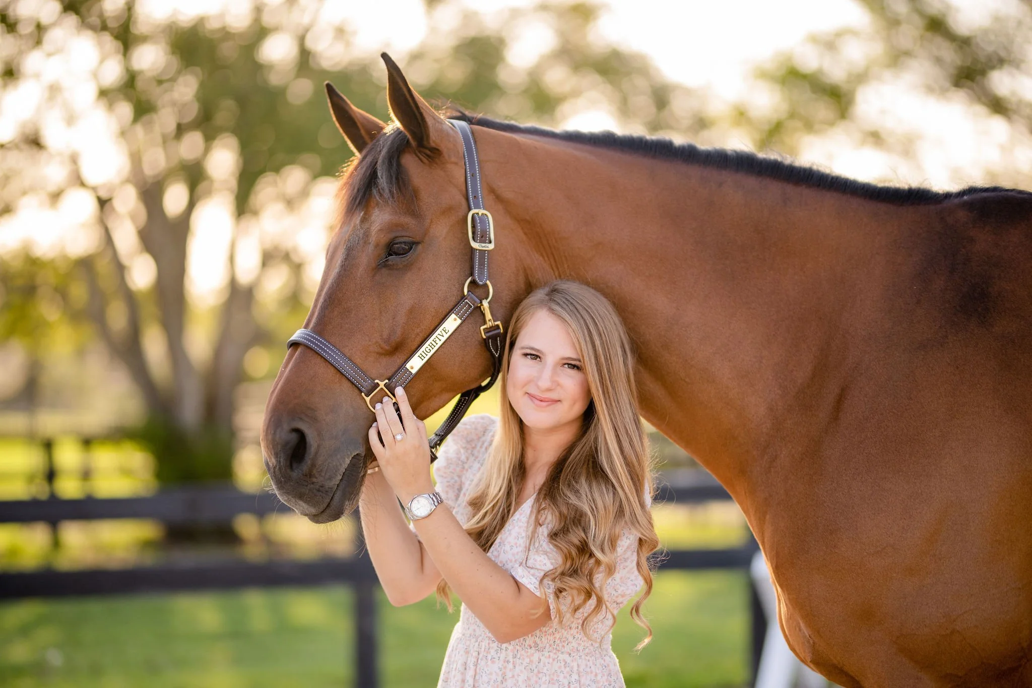 Chloe Murt | Ocala, Florida Horse And Rider Portrait Session
