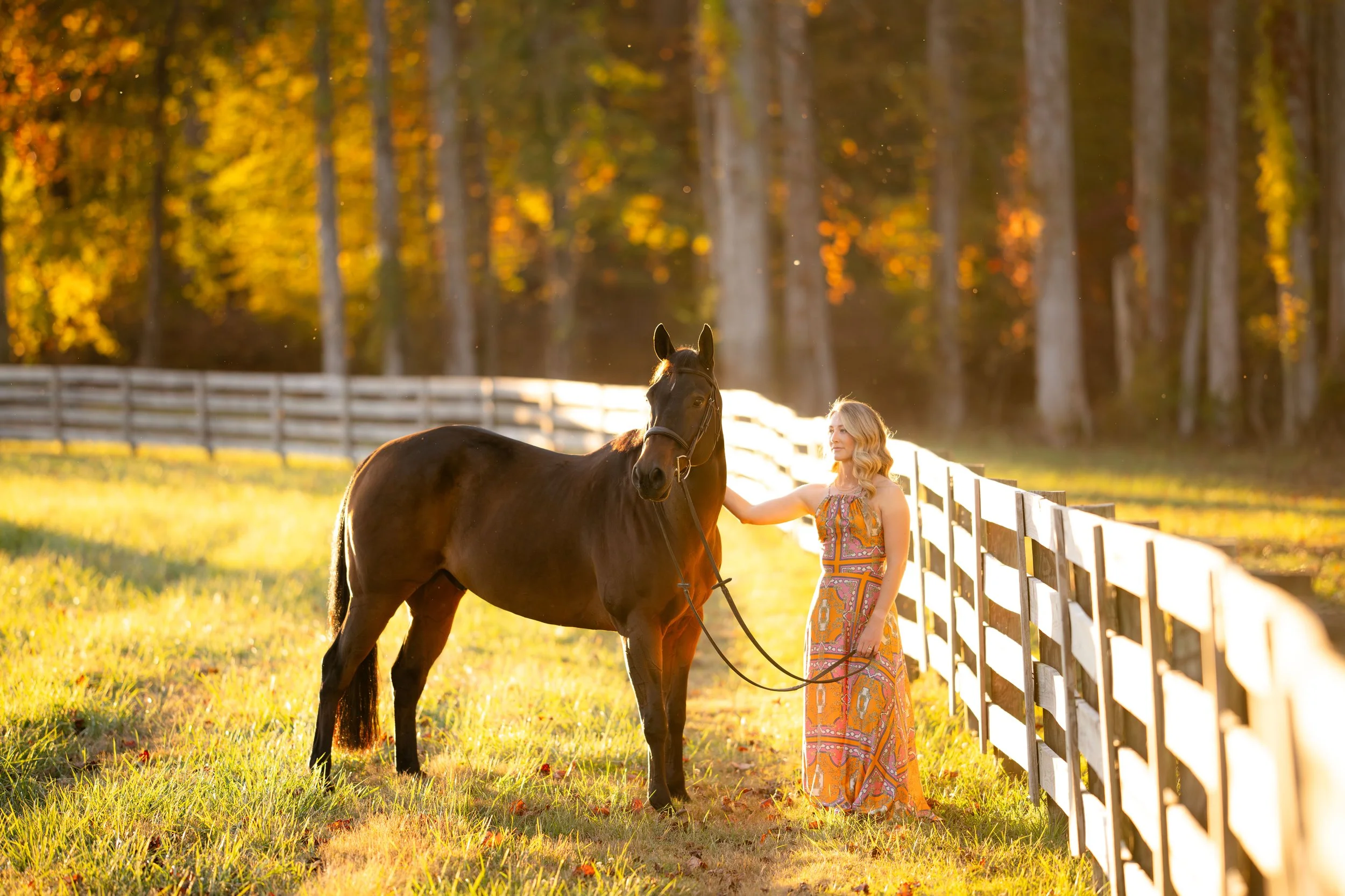 Cassidy Brooke | Mooresville, North Carolina Horse And Rider Portrait Session