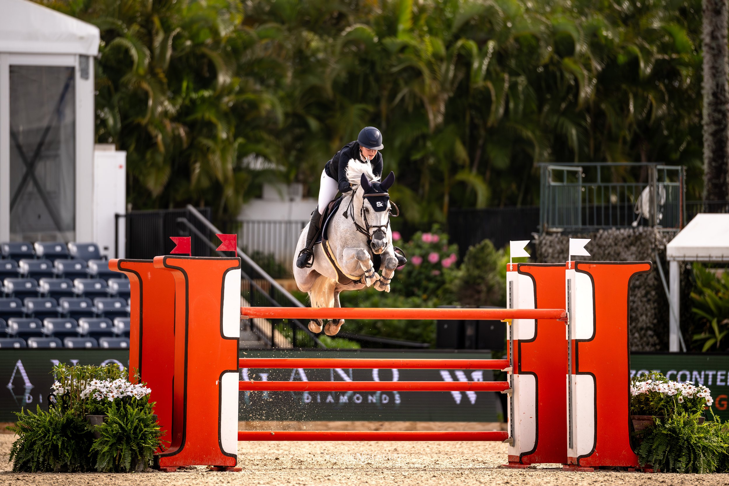 WEF8SATZC--28.JPG