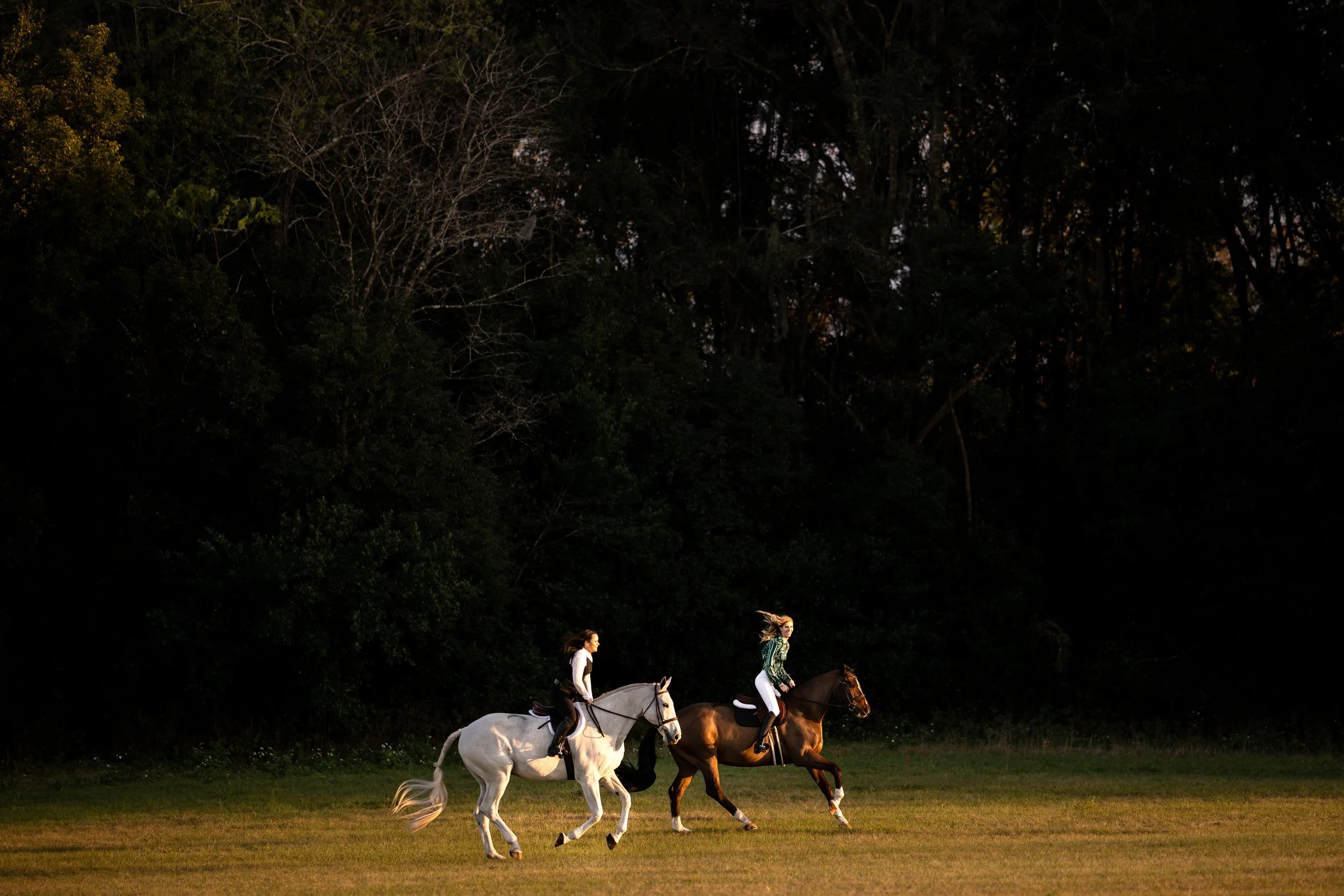 Red Sky Equestrian ︱Sorrento, Florida Horse and Rider Portrait Session