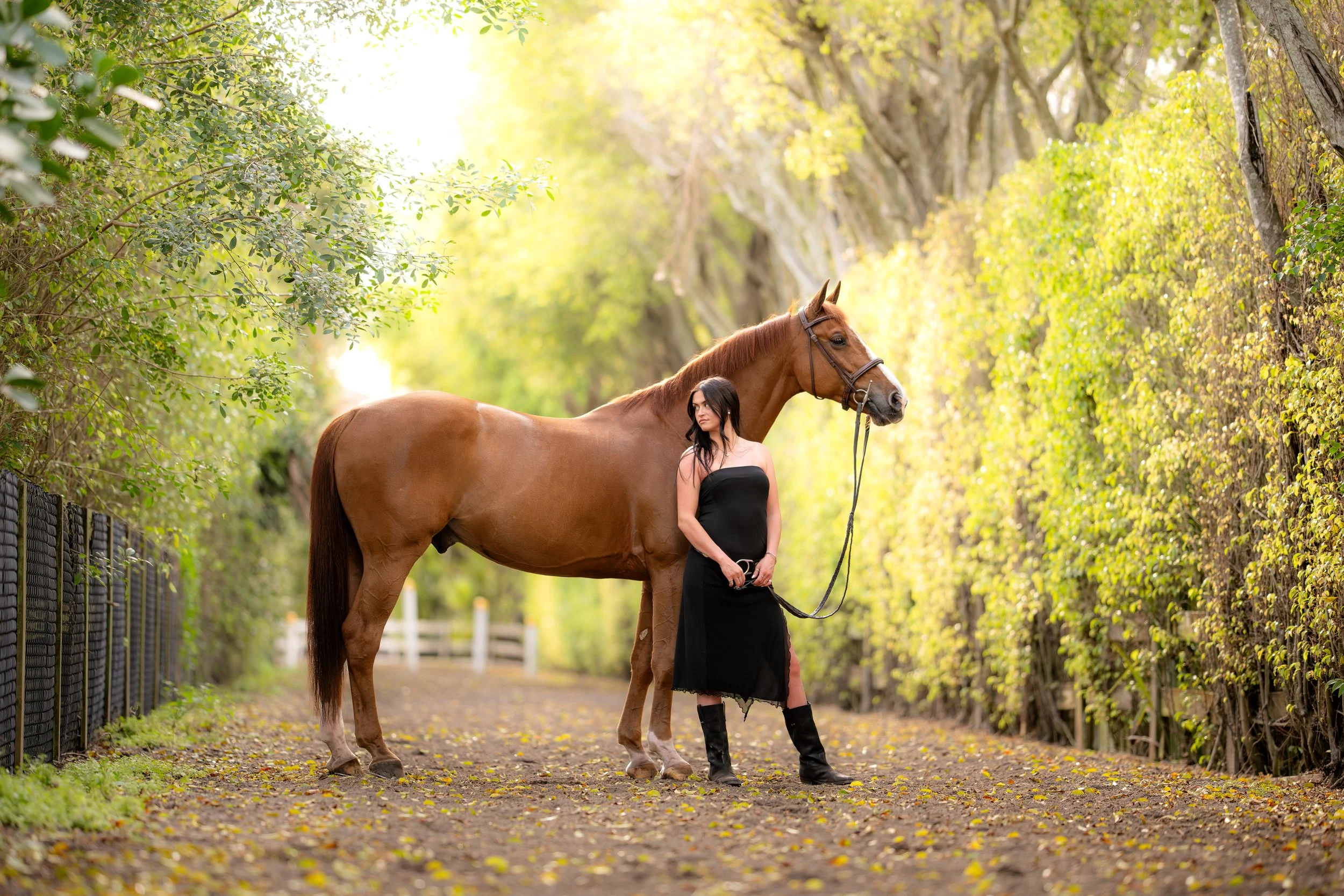 Jill Sobie︱Wellington, Florida Horse and Rider Portrait Session