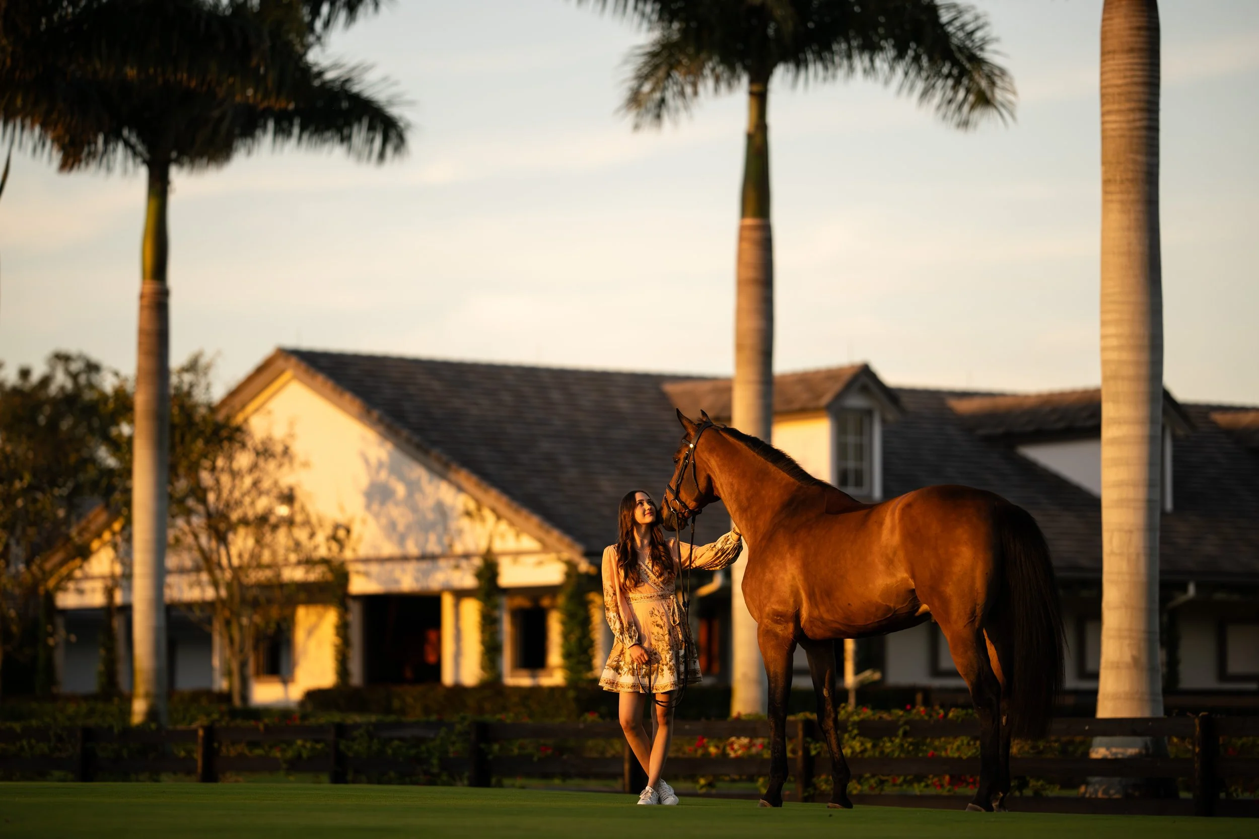Anastasia Nielsen︱Wellington, Florida Horse and Rider Portrait Session