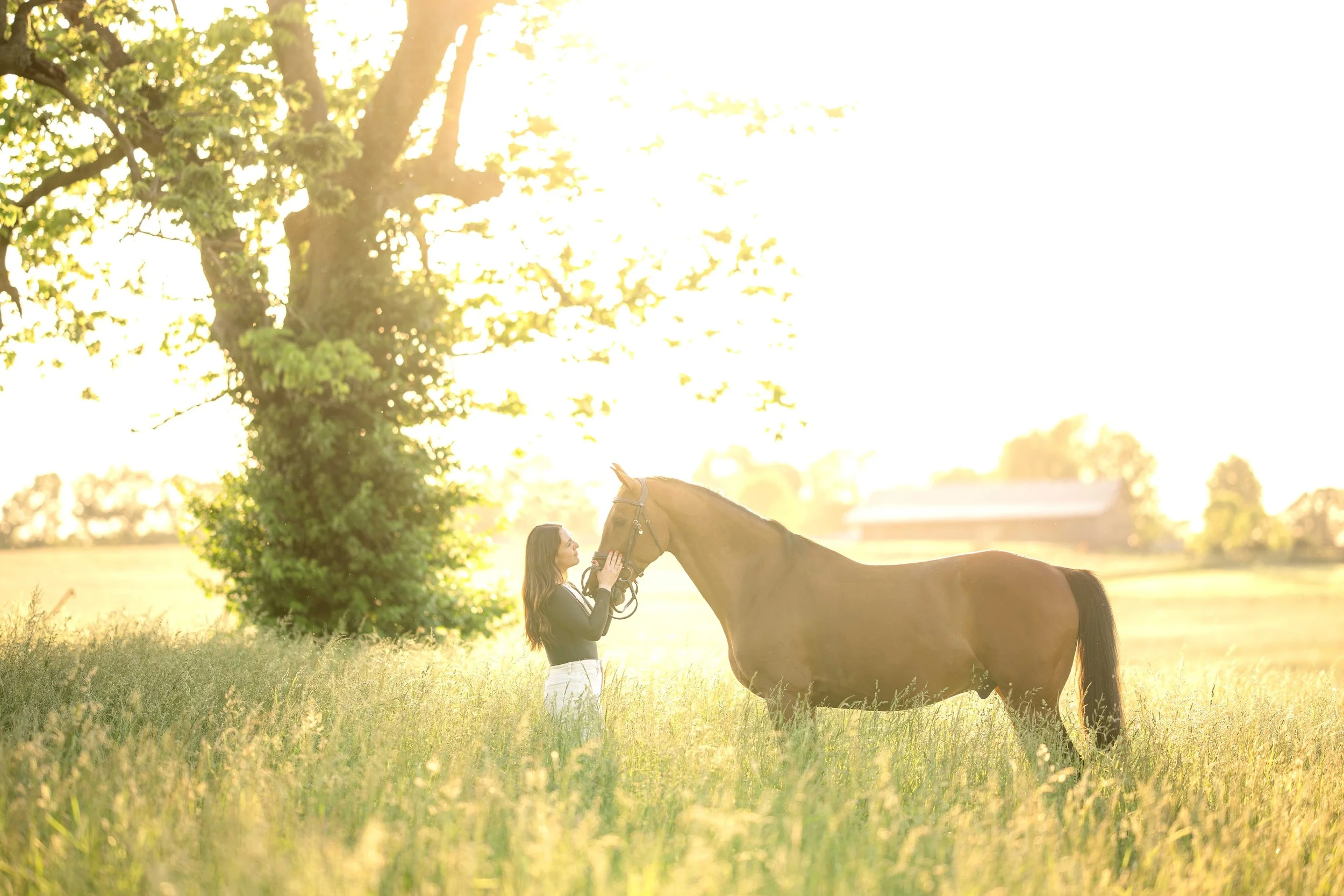 Olivia Strine︱Lexington, Kentucky Horse and Rider Portrait Session