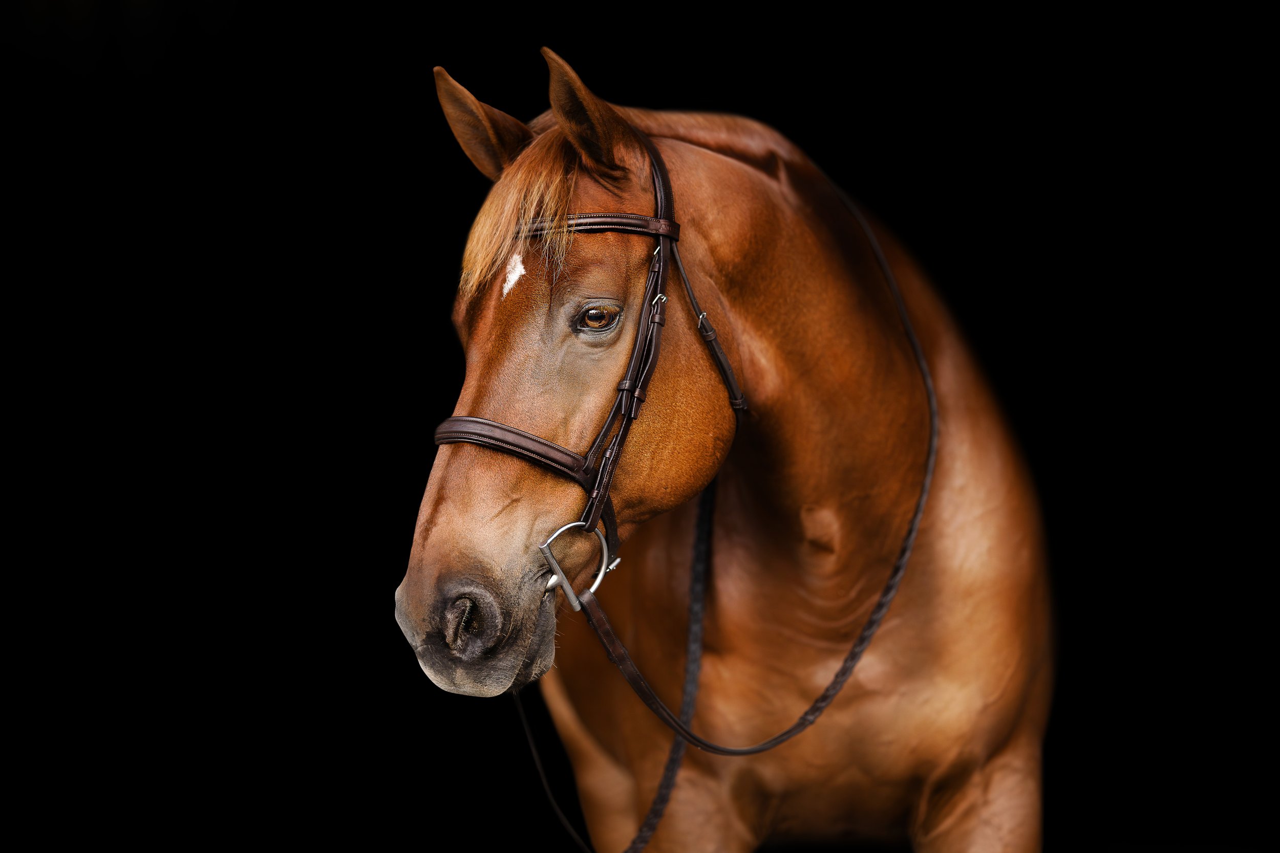 CHLOETANNER--54.JPG
