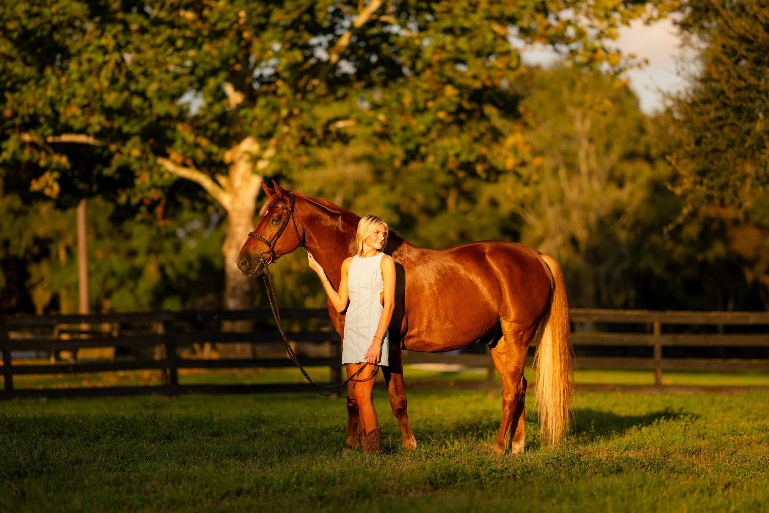 Chloe Tanner | Jacksonville, Florida Horse and Rider Portrait Session