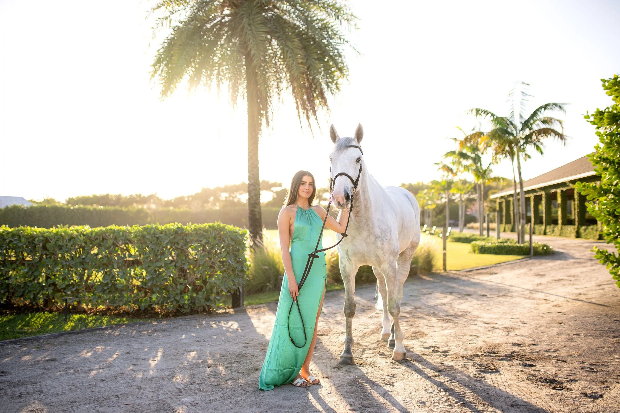 Marie Eder Ferrero | Wellington, Florida Horse and Rider Portrait Session
