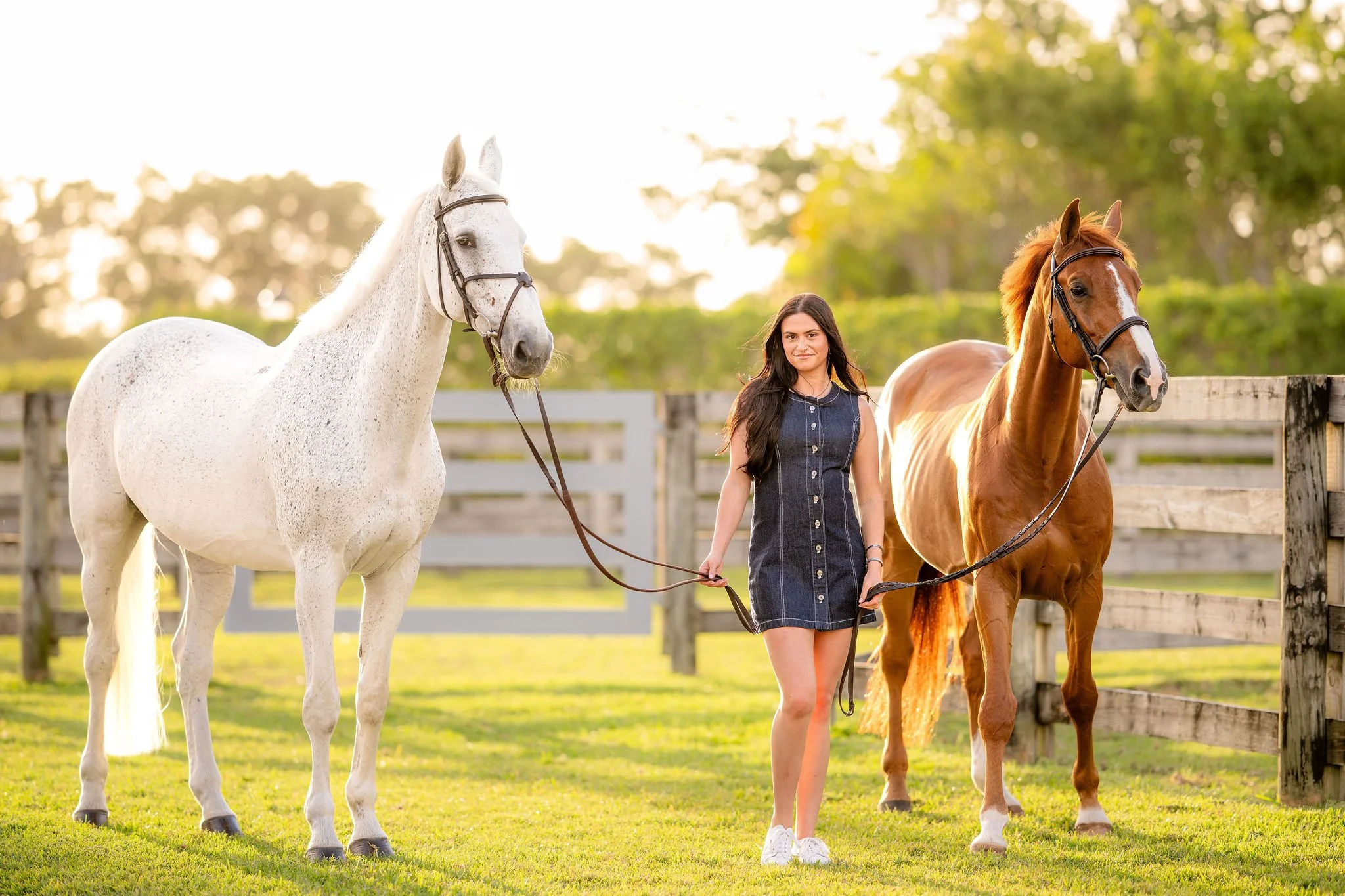 Jill Sobie | Wellington, Florida Horse and Rider Portrait Session