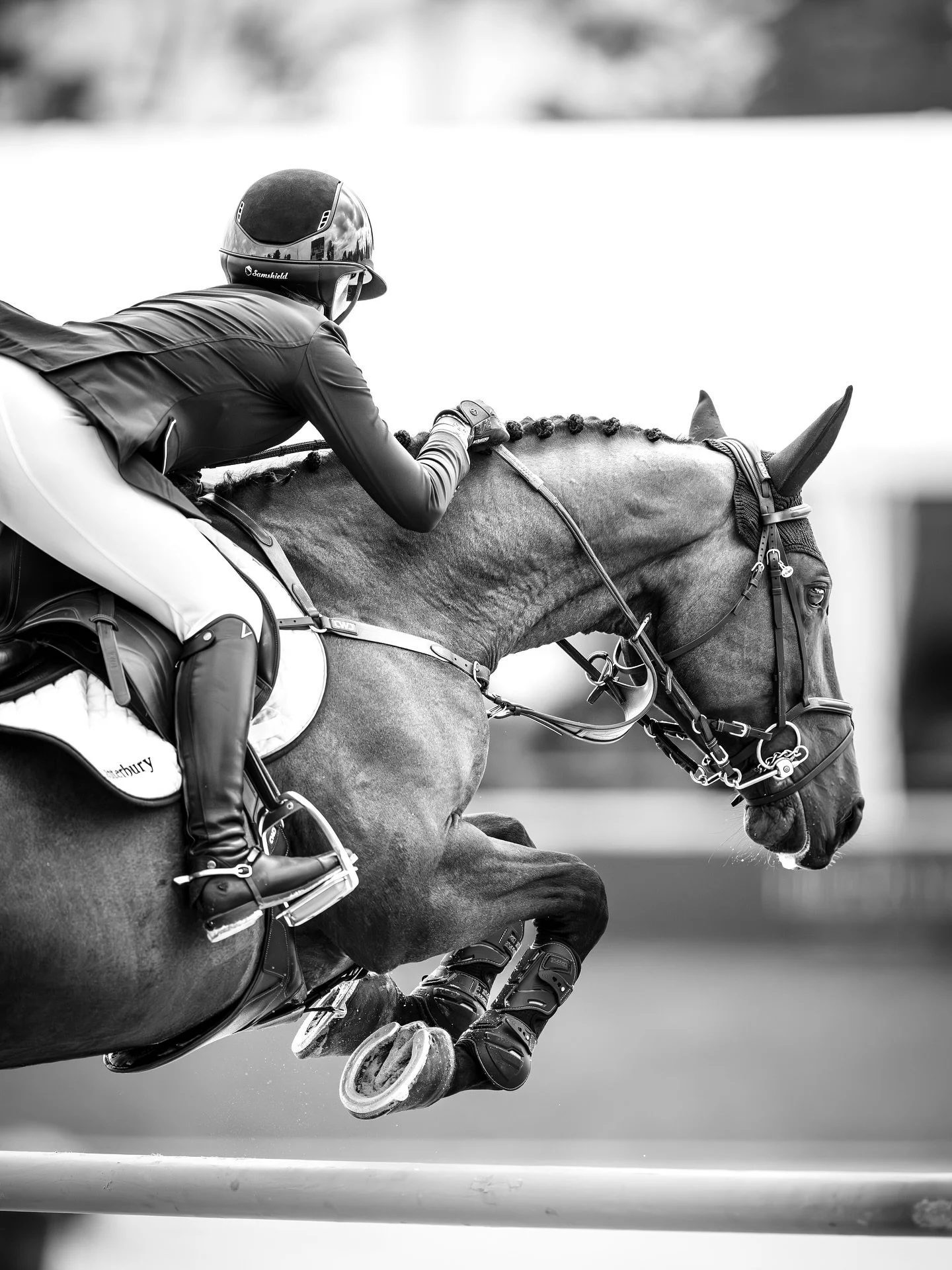 2* action with Del Mar &amp; @maryrose.canterbury 🤍