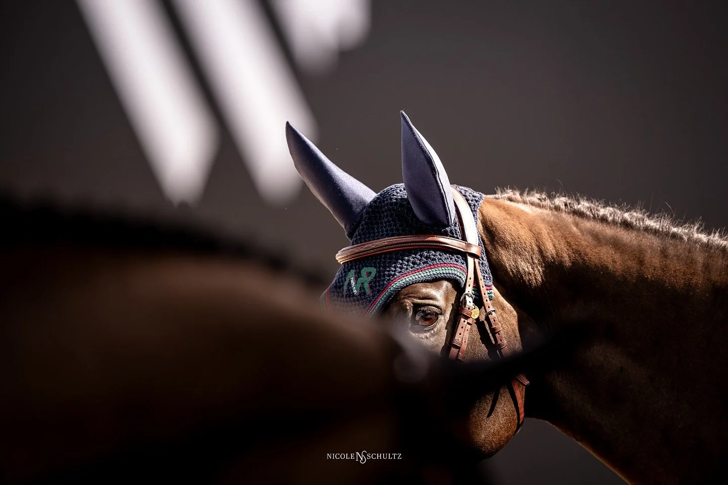 Counting down to being back at @wellingtoninternational_wef ✨