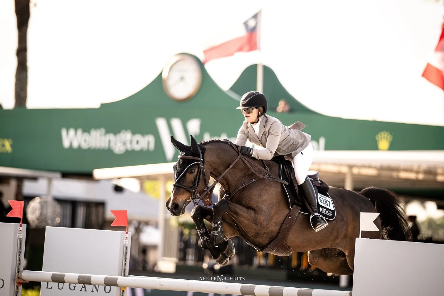 📍Wellington International