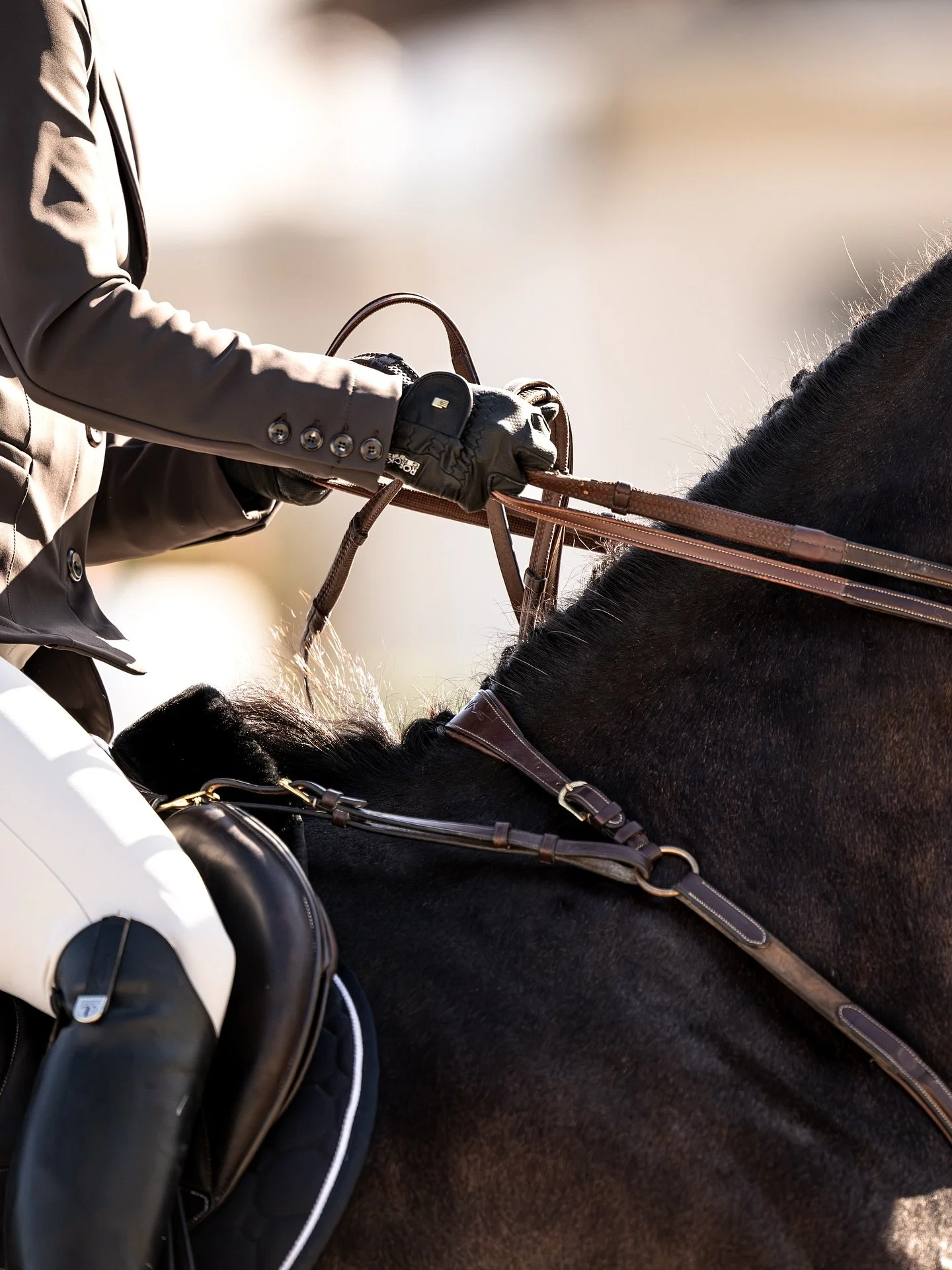 Hold on, November shows are loading&hellip; #espwellington #holidayandhorses #sfhjacharityshow