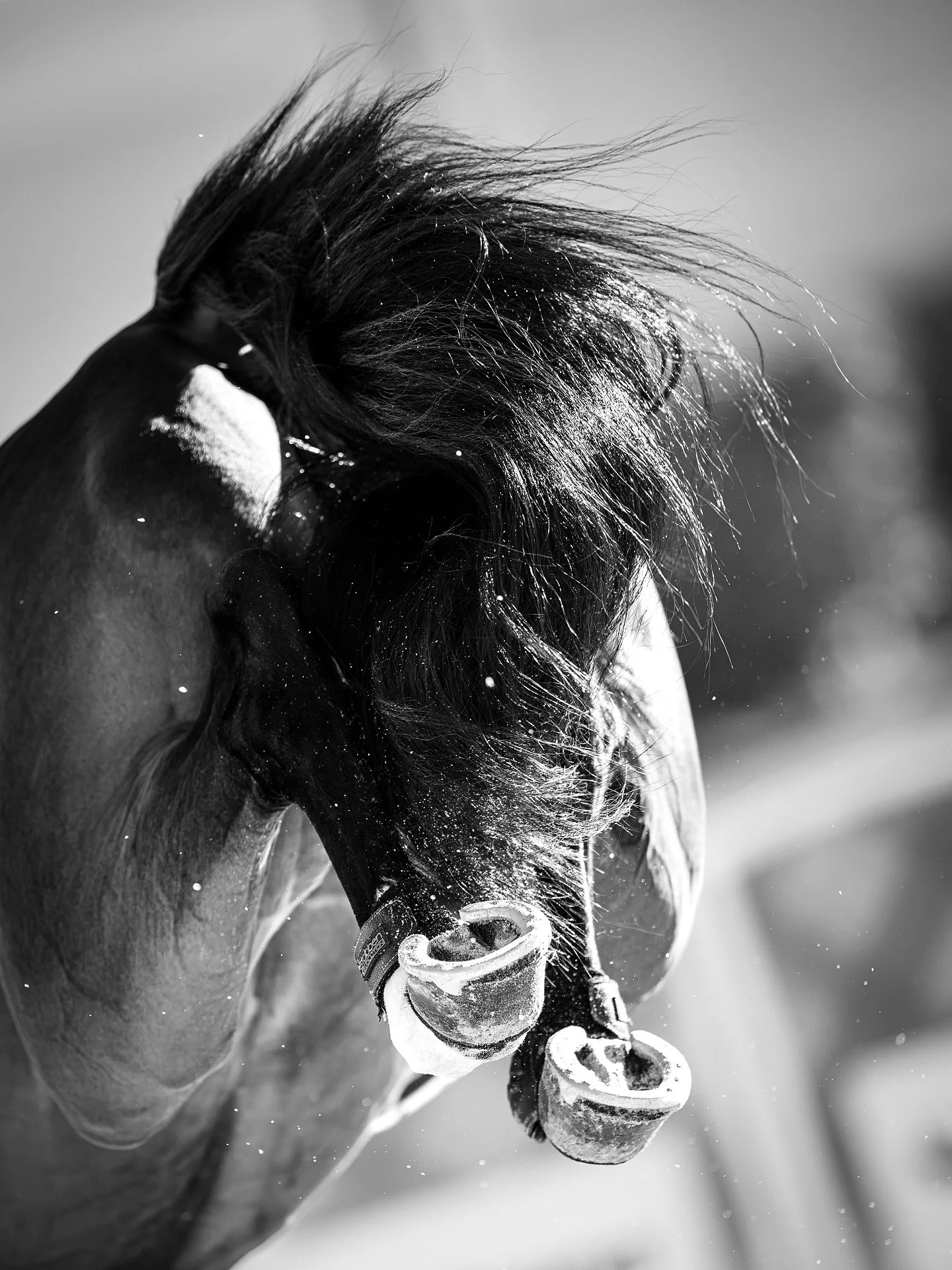 🎉 ISO Part-Time Second Shooter for WEF 2026! 📸🎥
I&rsquo;m seeking a part-time second shooter for approximately 5&ndash;6 weeks of the 2026 WEF circuit. Applicants must already be approved photographers for the 2026 season.
If you were accepted for