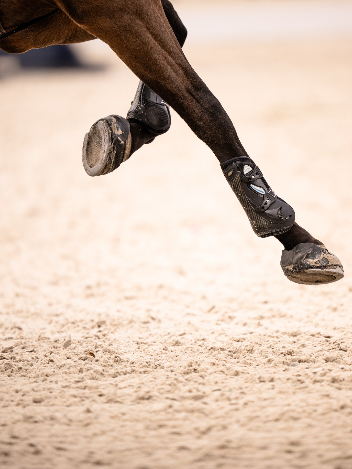 This could be a @veredususa ad 😉