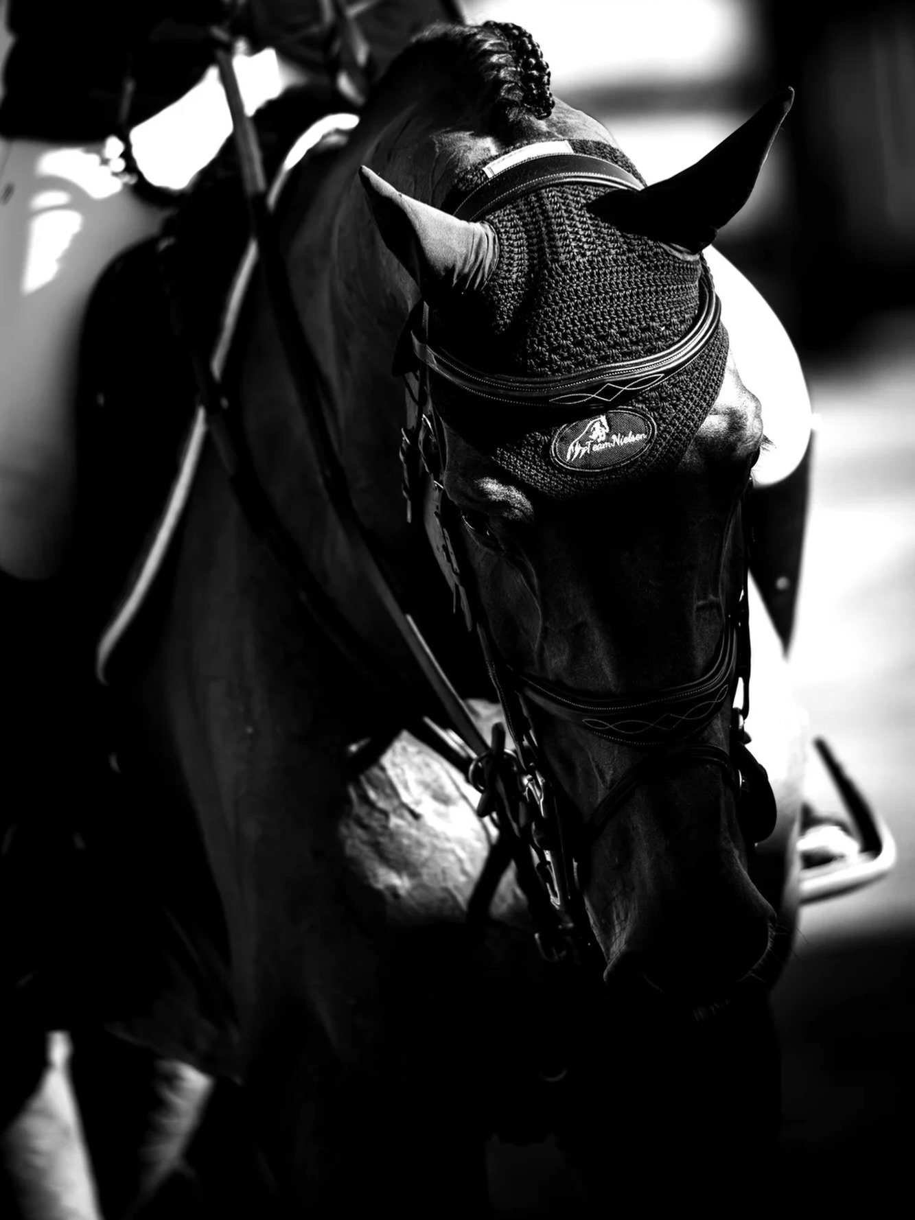 Light and shadows 🔲