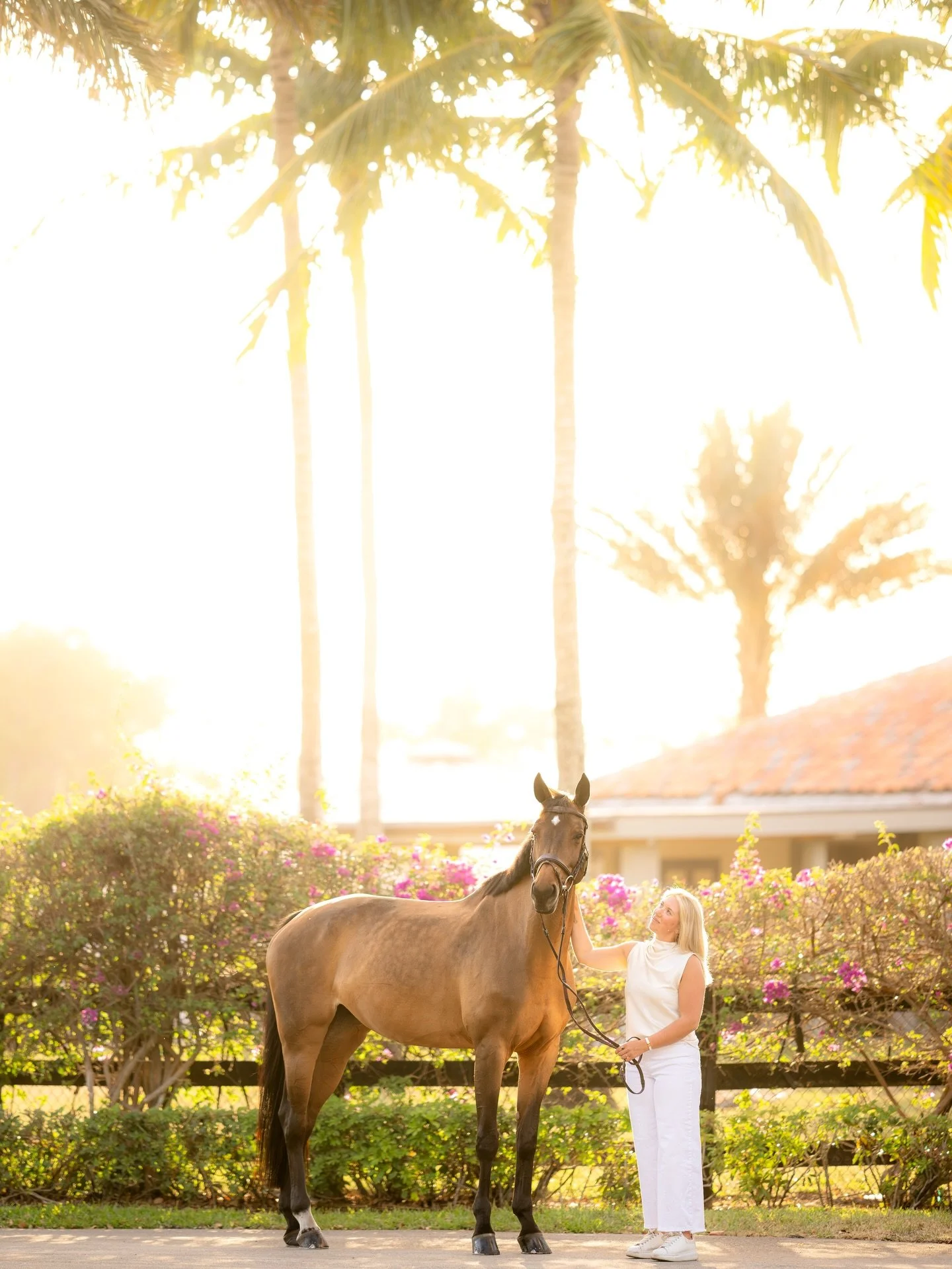 This is what December in Wellington looks like ☀️
