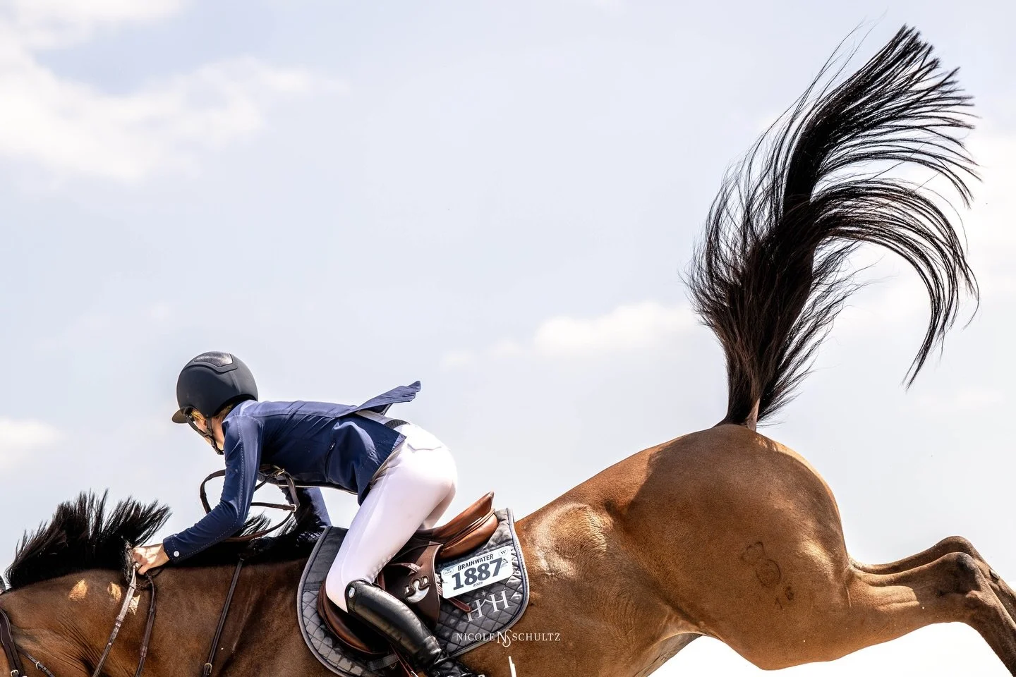 Rediscovering photos I took last WEF 📸