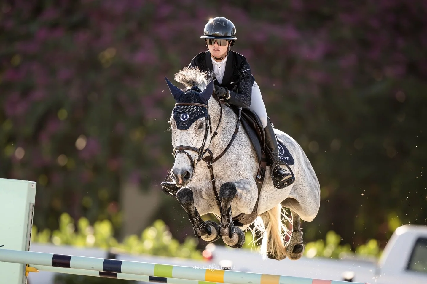 DeNemethy in the morning ✨