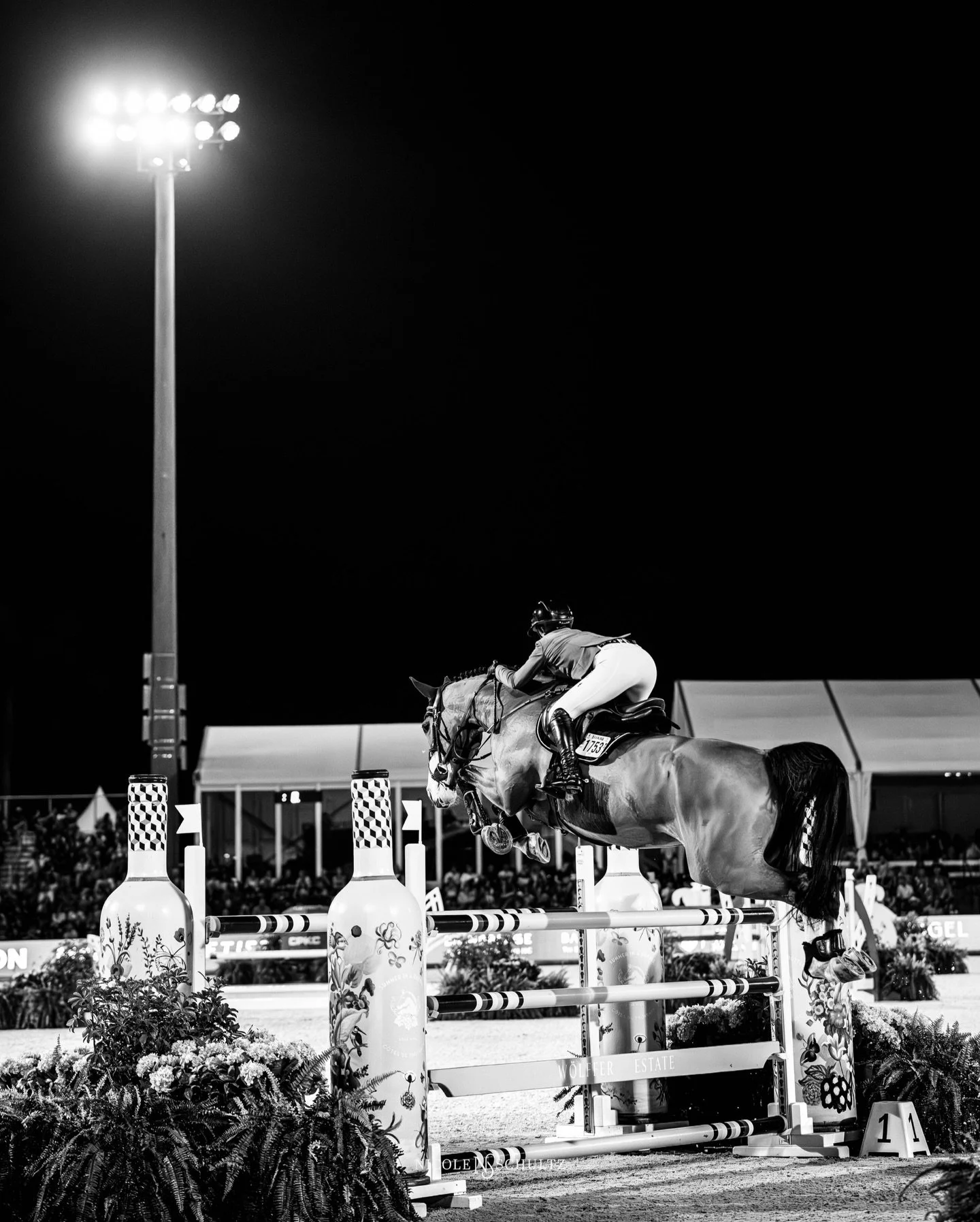 That was fun!! Same time next weekend?