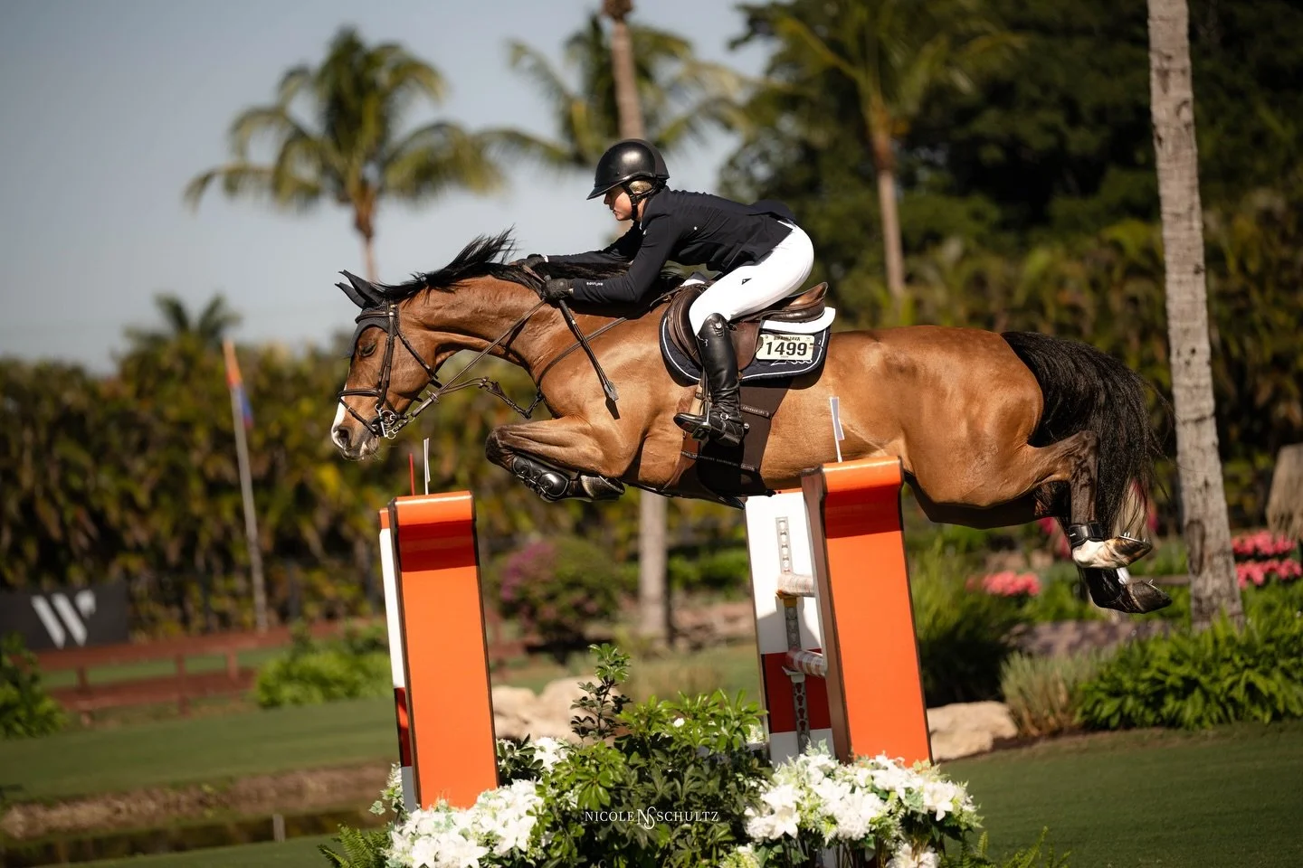 Crossover 🤝 grass field