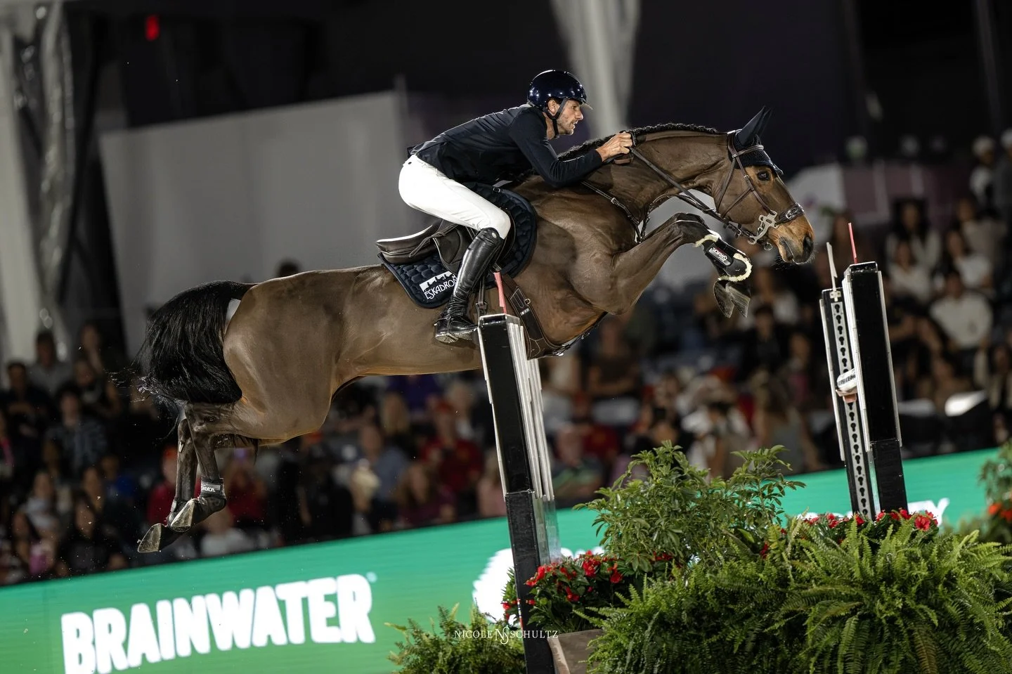 Just Be Gentle. Need I say more? 🤯