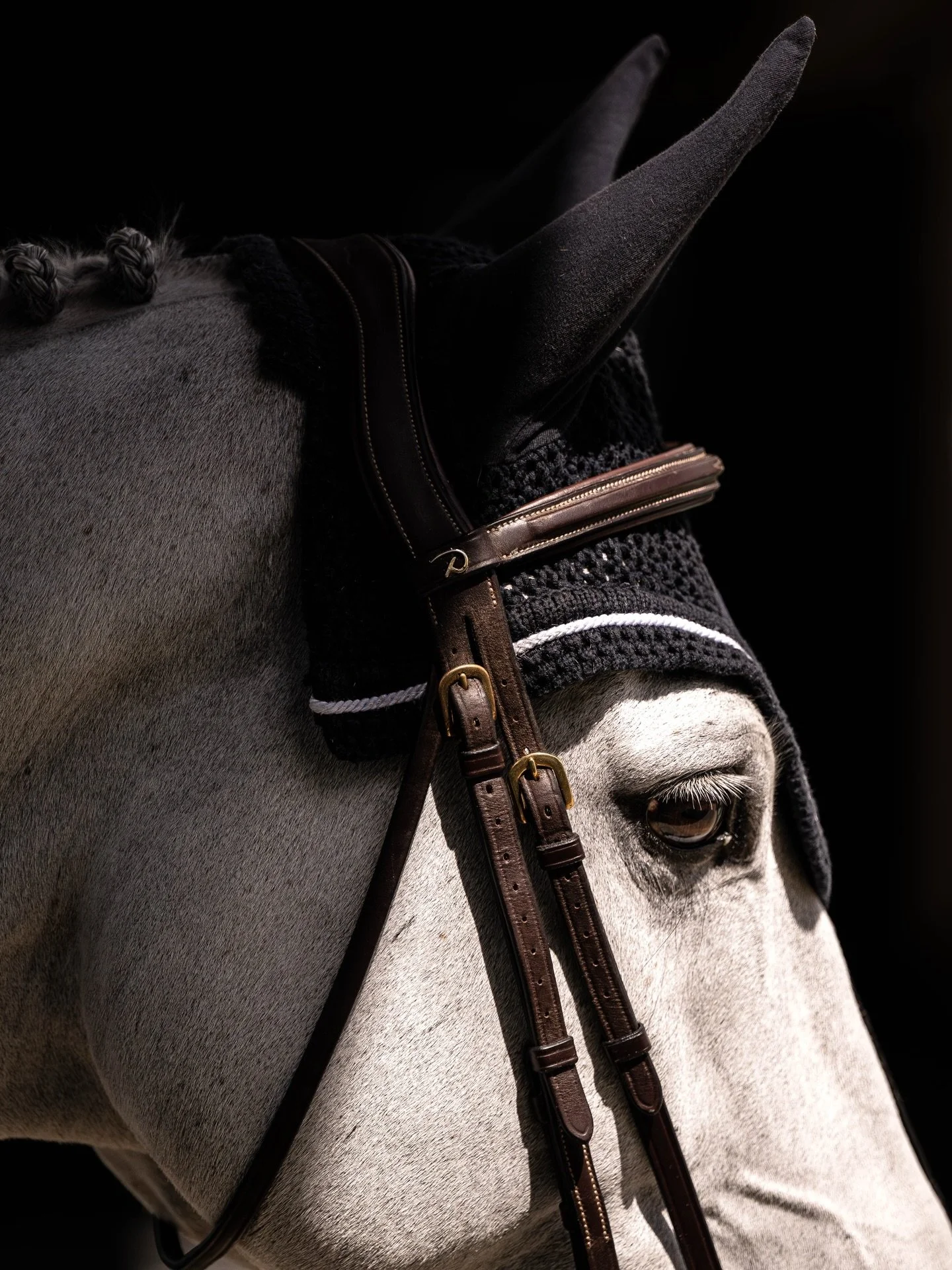 Afternoon light and shadows with Iron Maiden